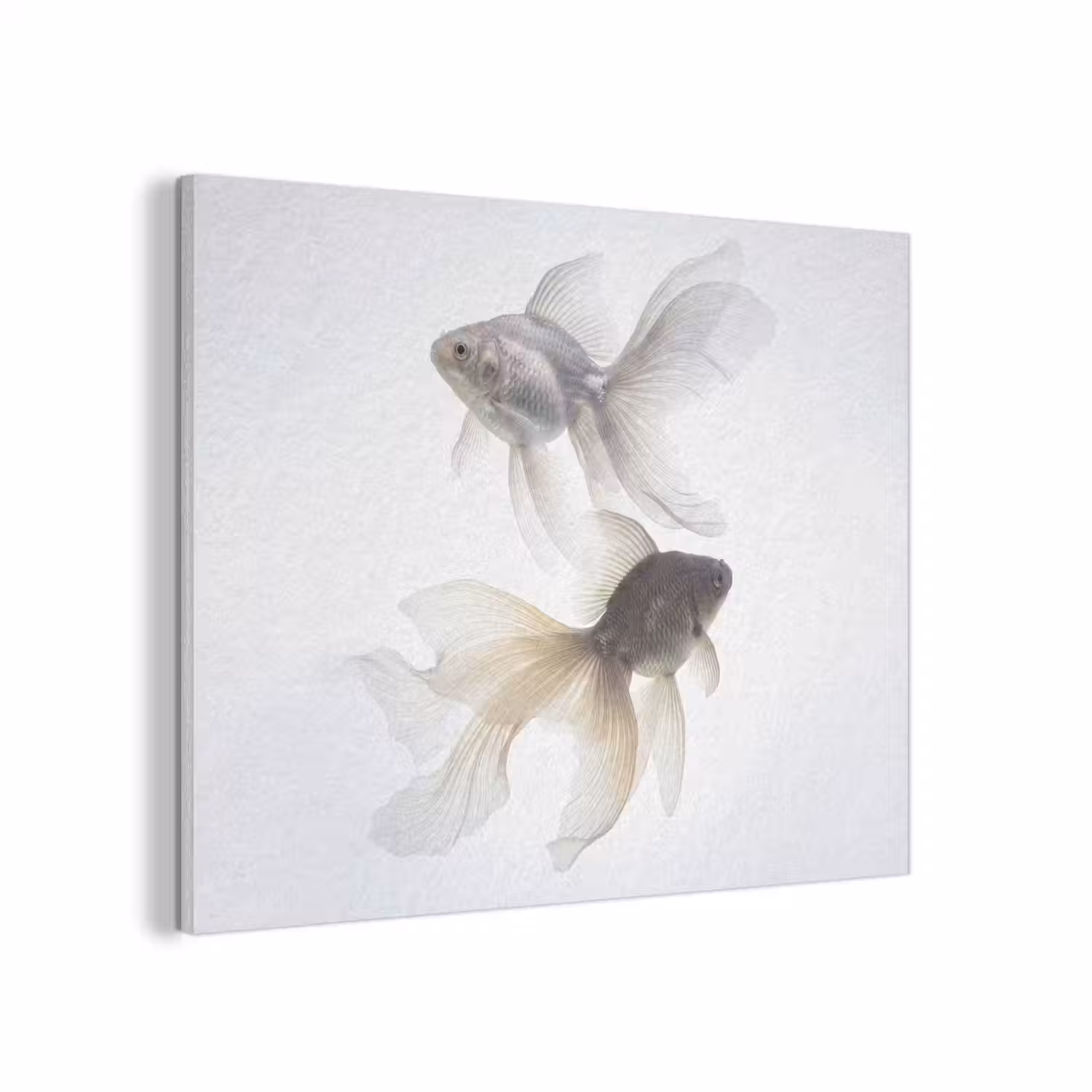 Goudvissen - Modern - Wit PET vilt klein -3d