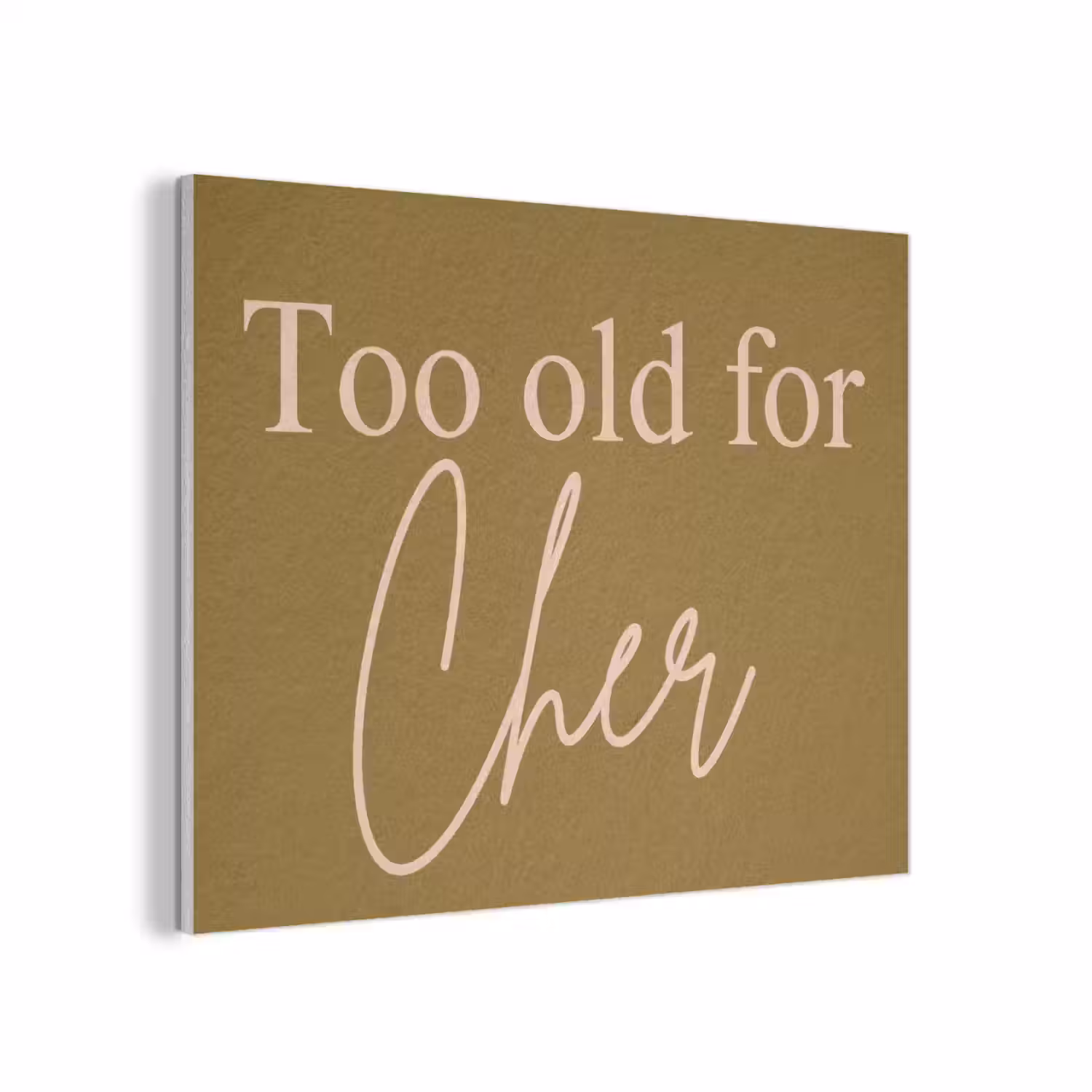 Groen - Too old for cher - Roze PET vilt klein -3d