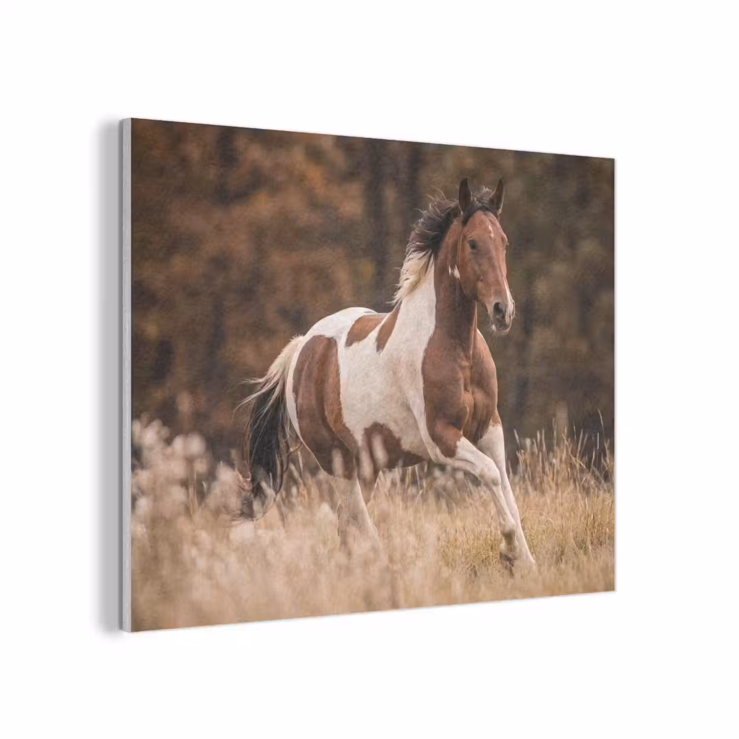 Paard - Bruin - Gras PET vilt klein -3d