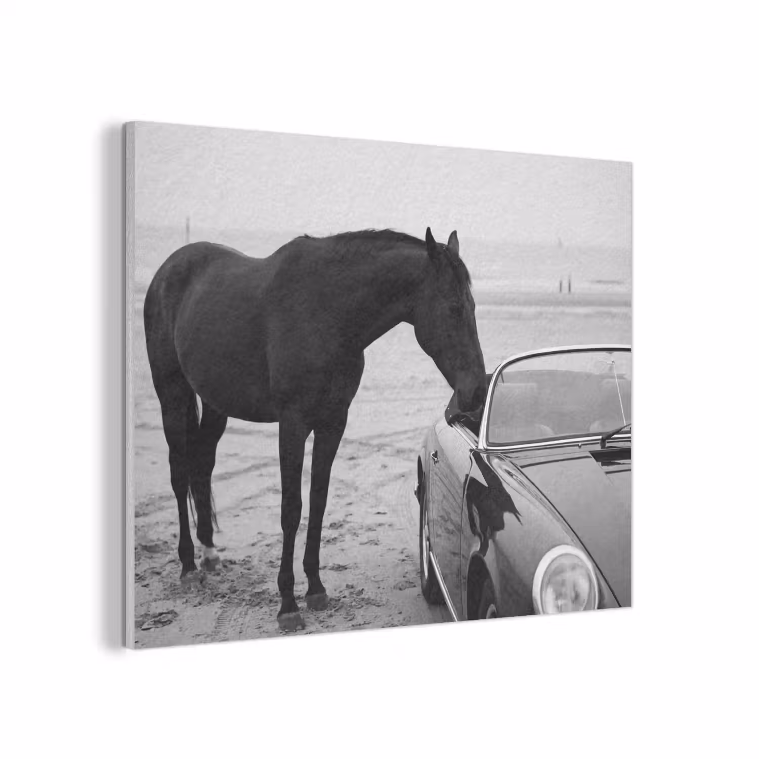Paard - Auto - Zwart - Wit PET vilt klein -3d