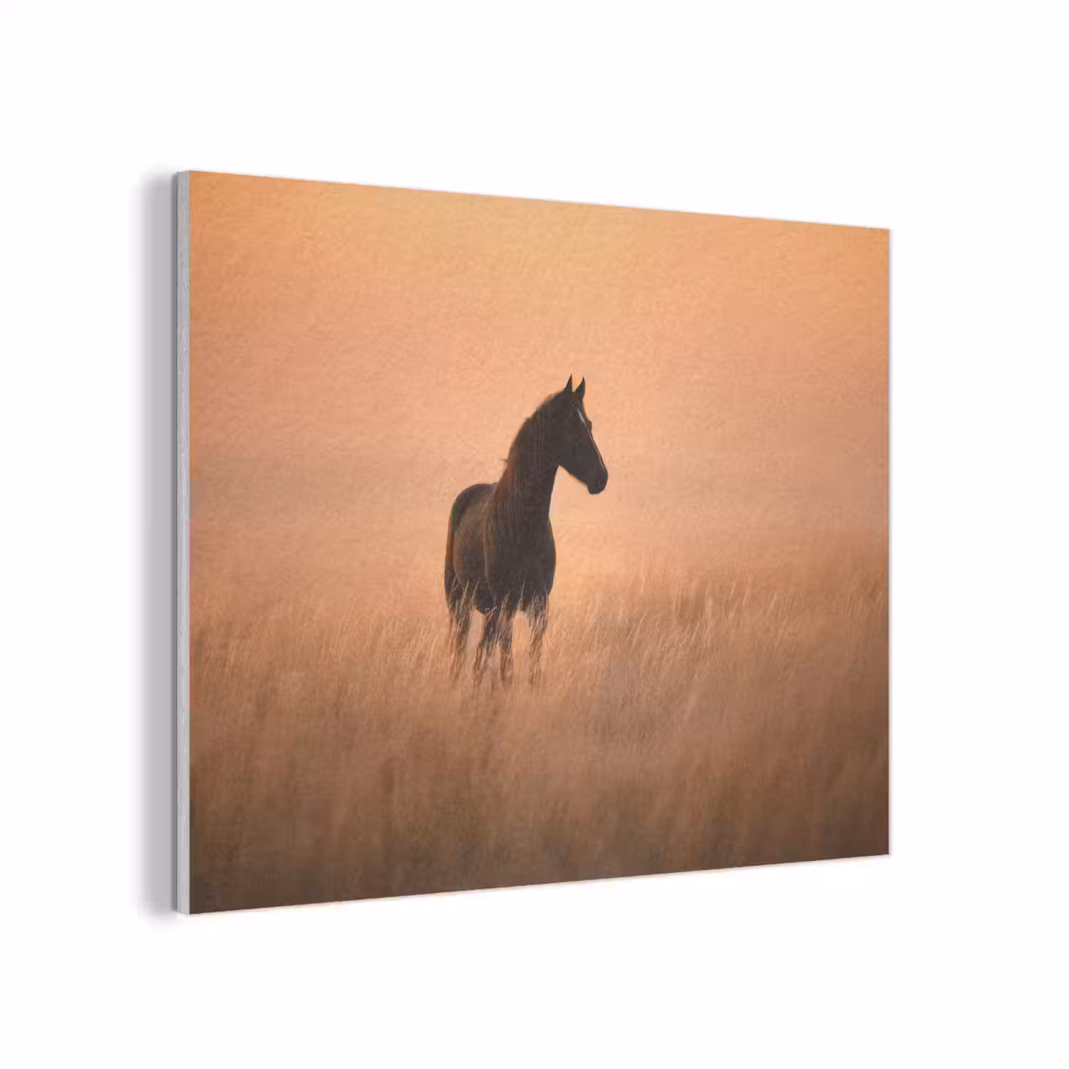 Paard - Grasveld - Zonsondergang PET vilt klein -3d