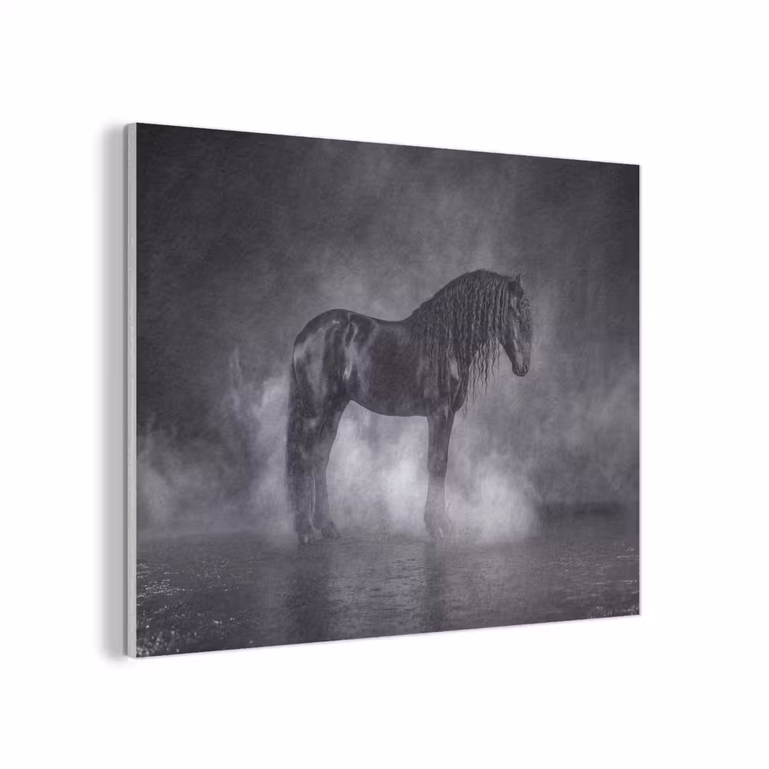 Paard - Magisch - Zwart PET vilt klein -3d