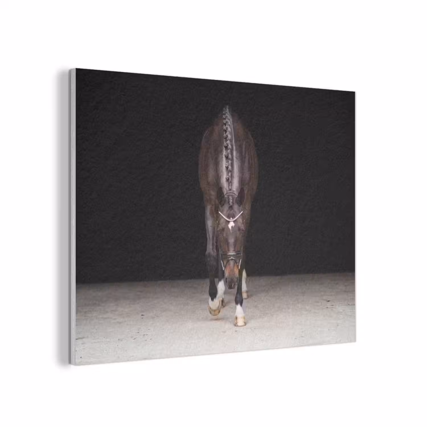 Paard - Modern - Portret PET vilt klein -3d