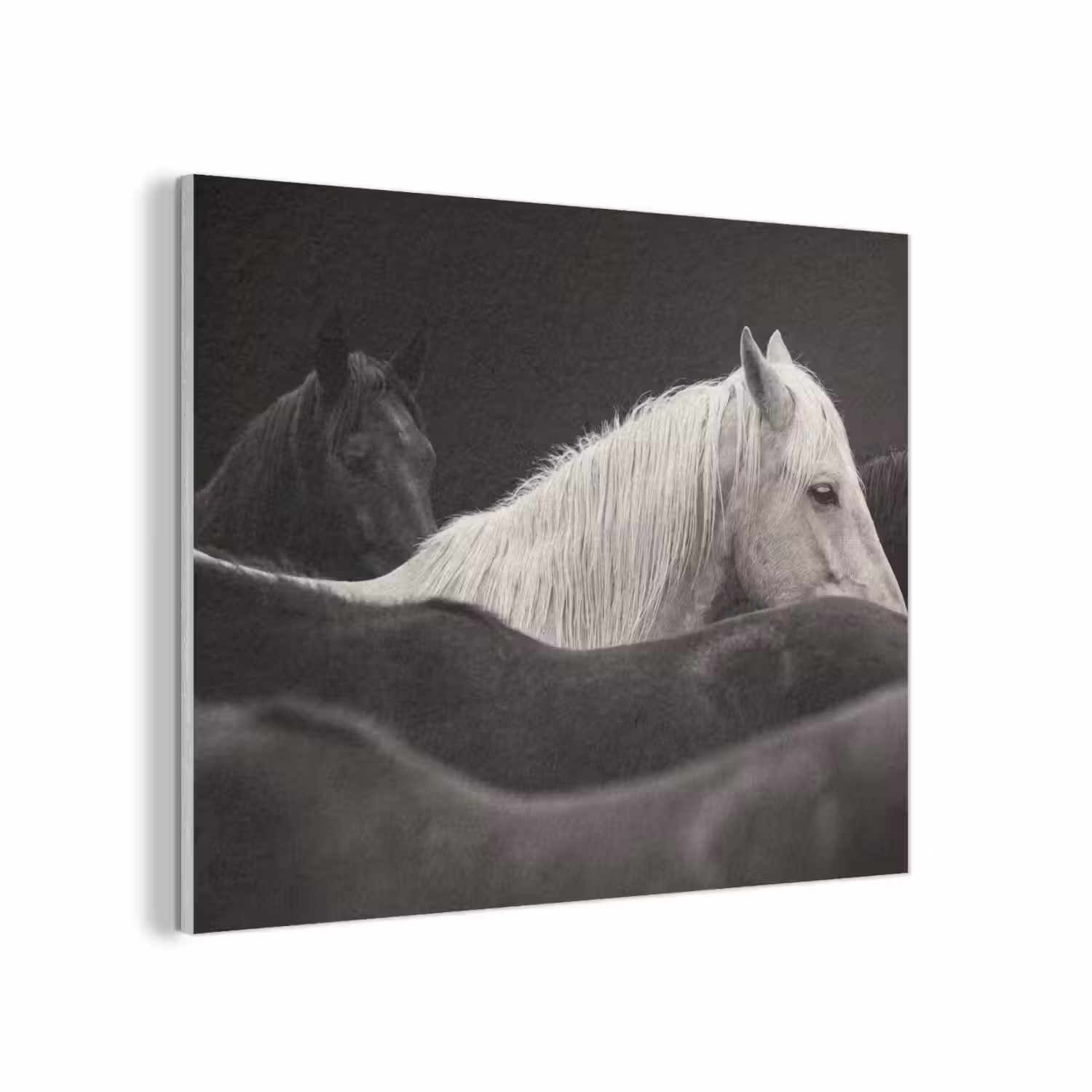 Paarden - Zwart - Wit - Kudde PET vilt klein -3d