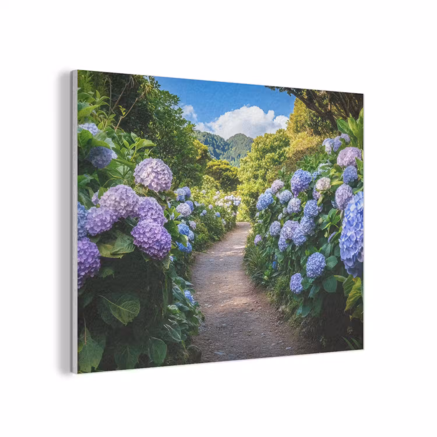 Hortsensia - Pad - Bloemen PET vilt klein -3d