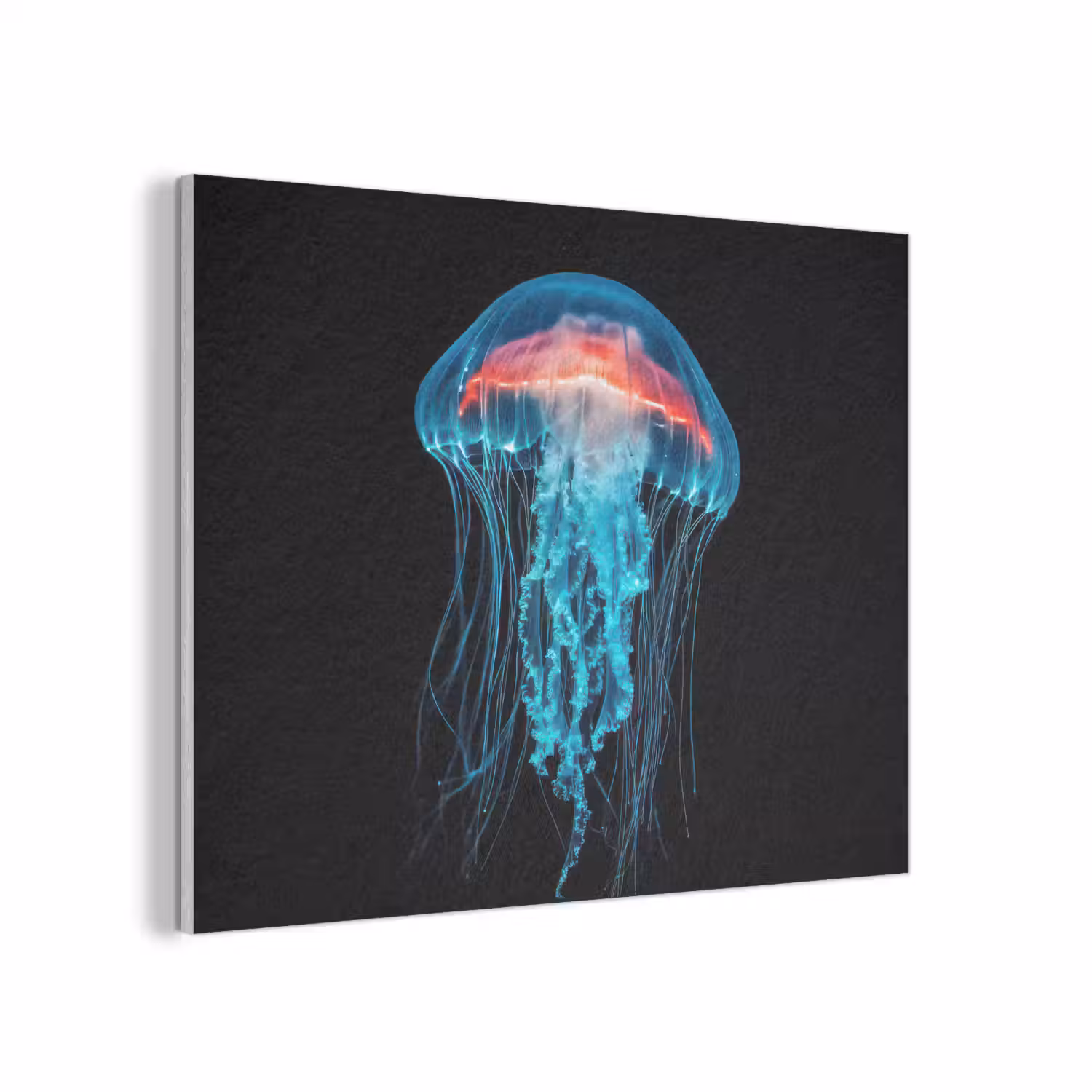 Kwal - Tentakels - Blauw - Licht PET vilt klein -3d
