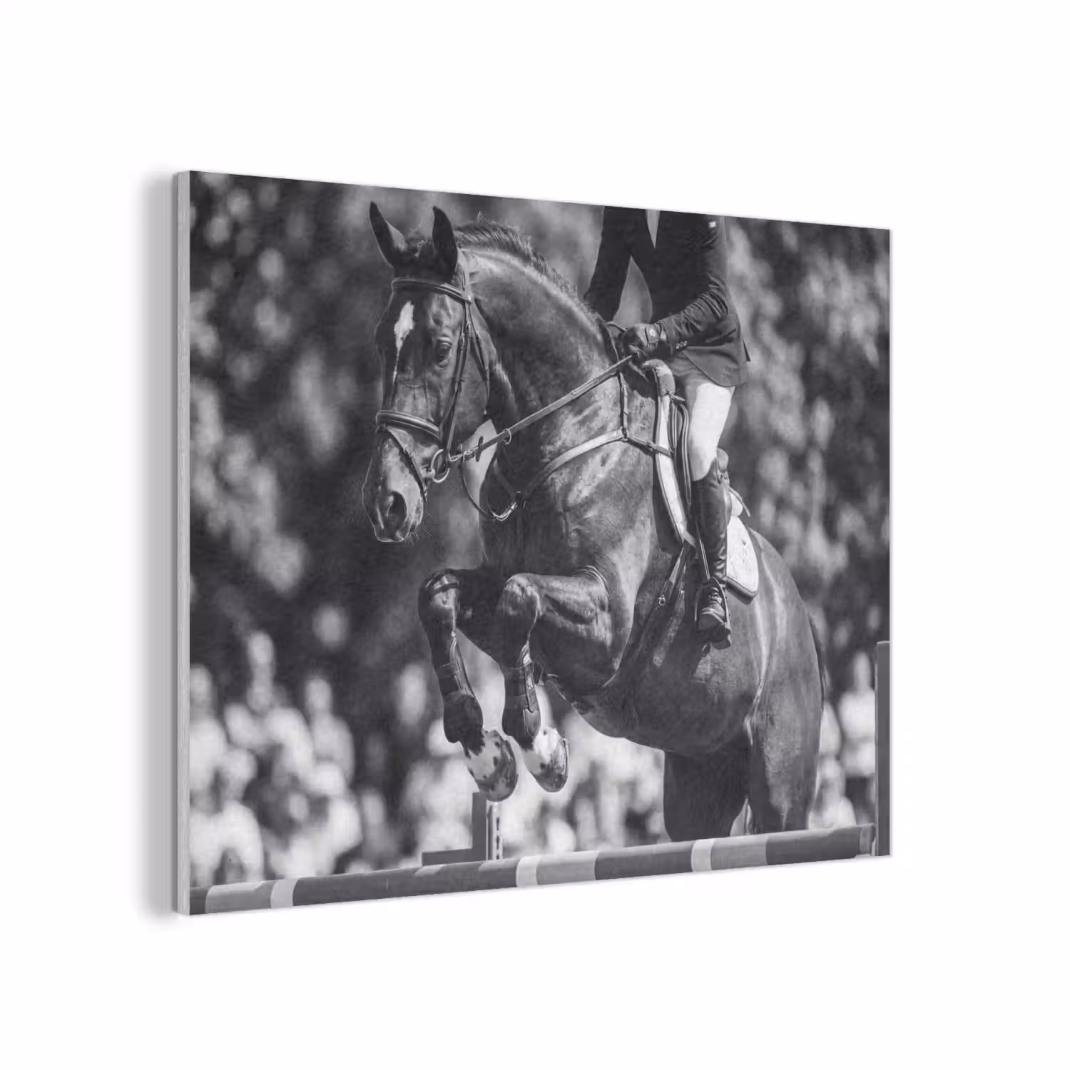 Springen - Paard - Zwart - Wit PET vilt klein -3d