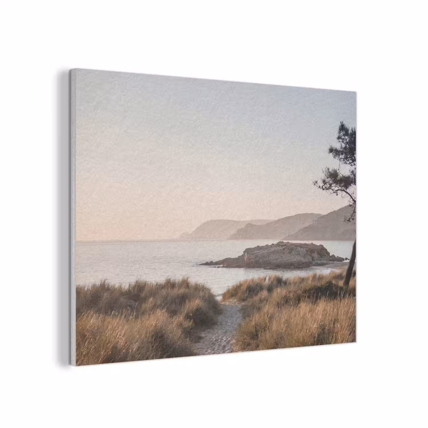 Landschap - Kust - Duinen PET vilt klein -3d