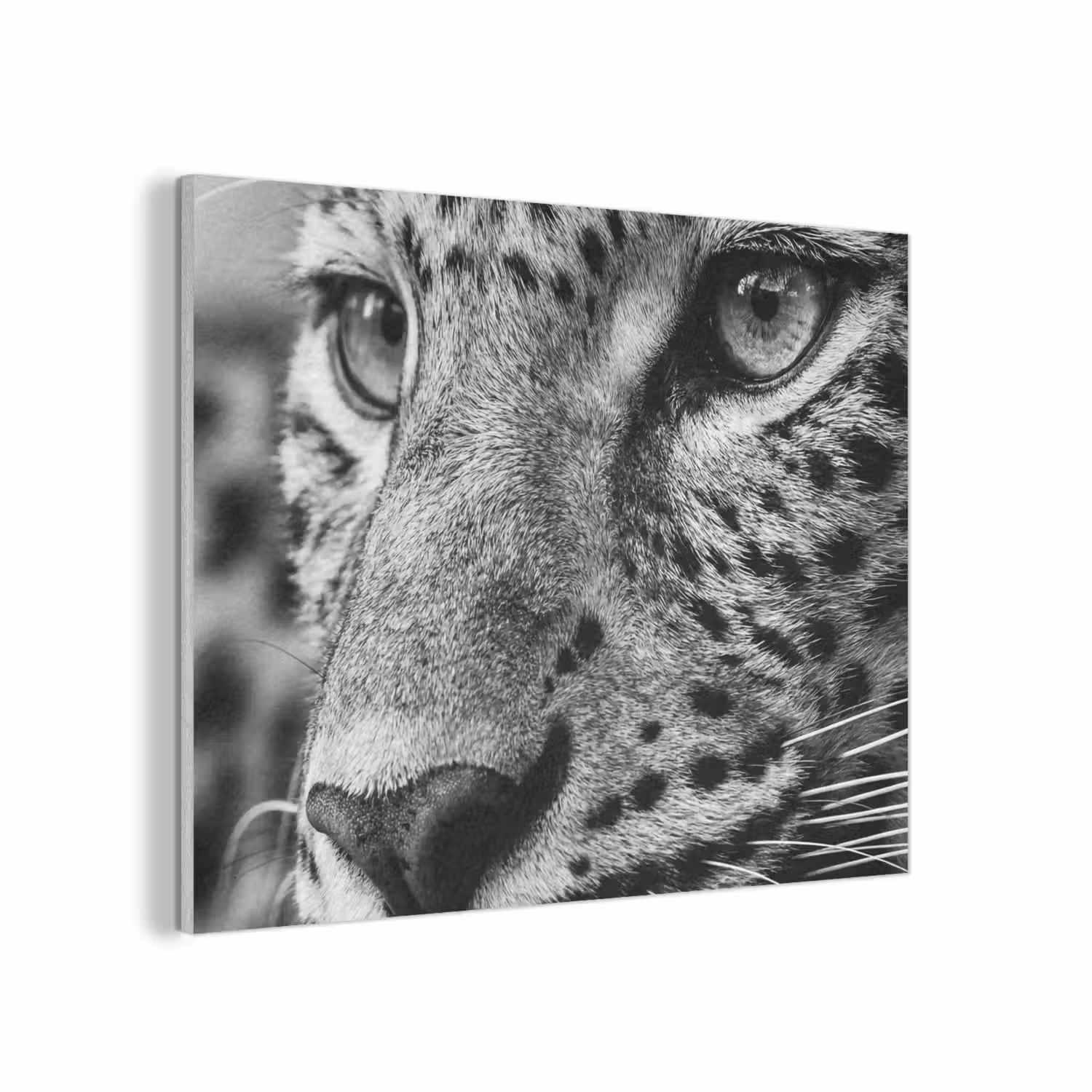Luipaard - Zwart - Wit - Oog PET vilt klein -3d