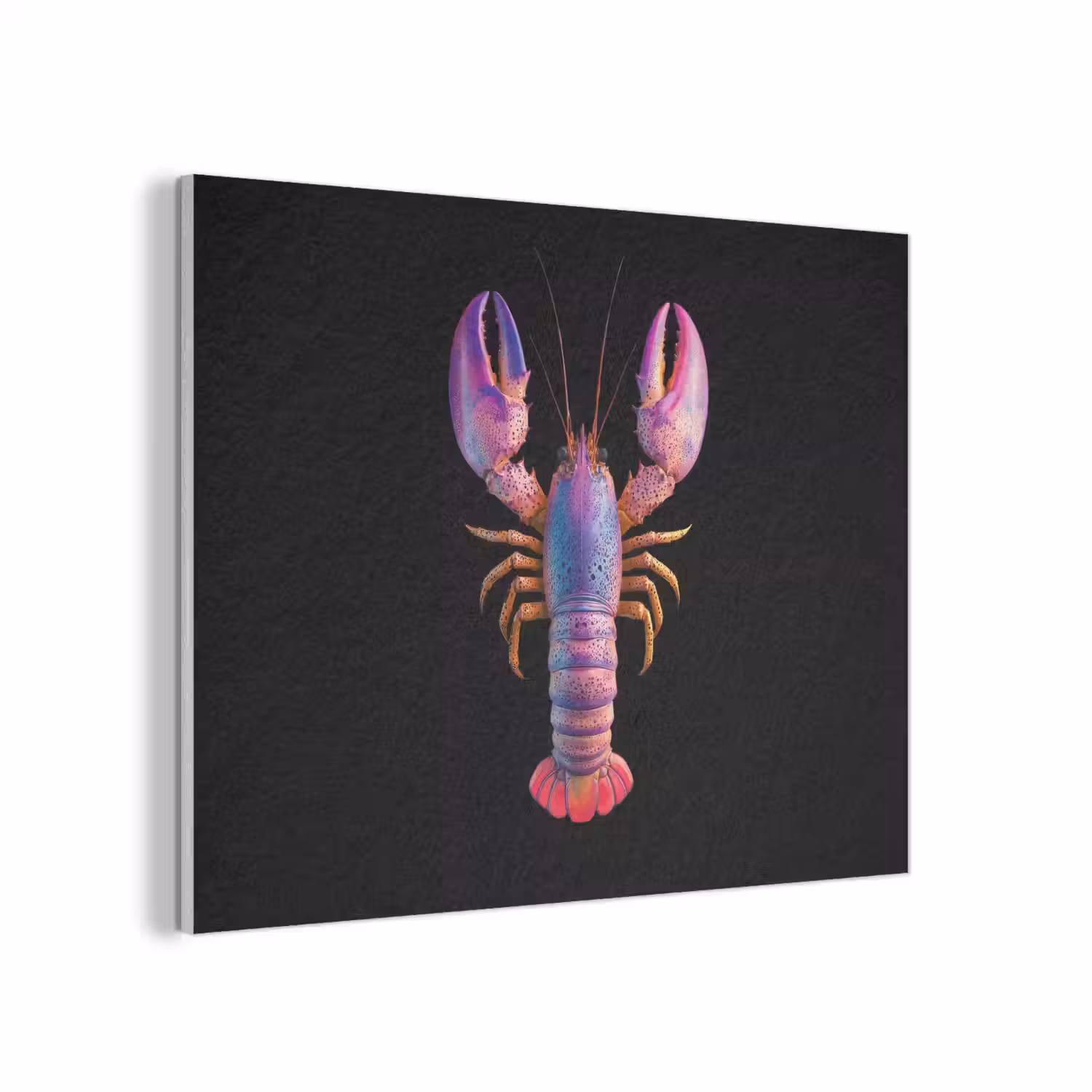 Kreeft - Paars - Roze - Zwart - Stippen - Lila PET vilt klein -3d