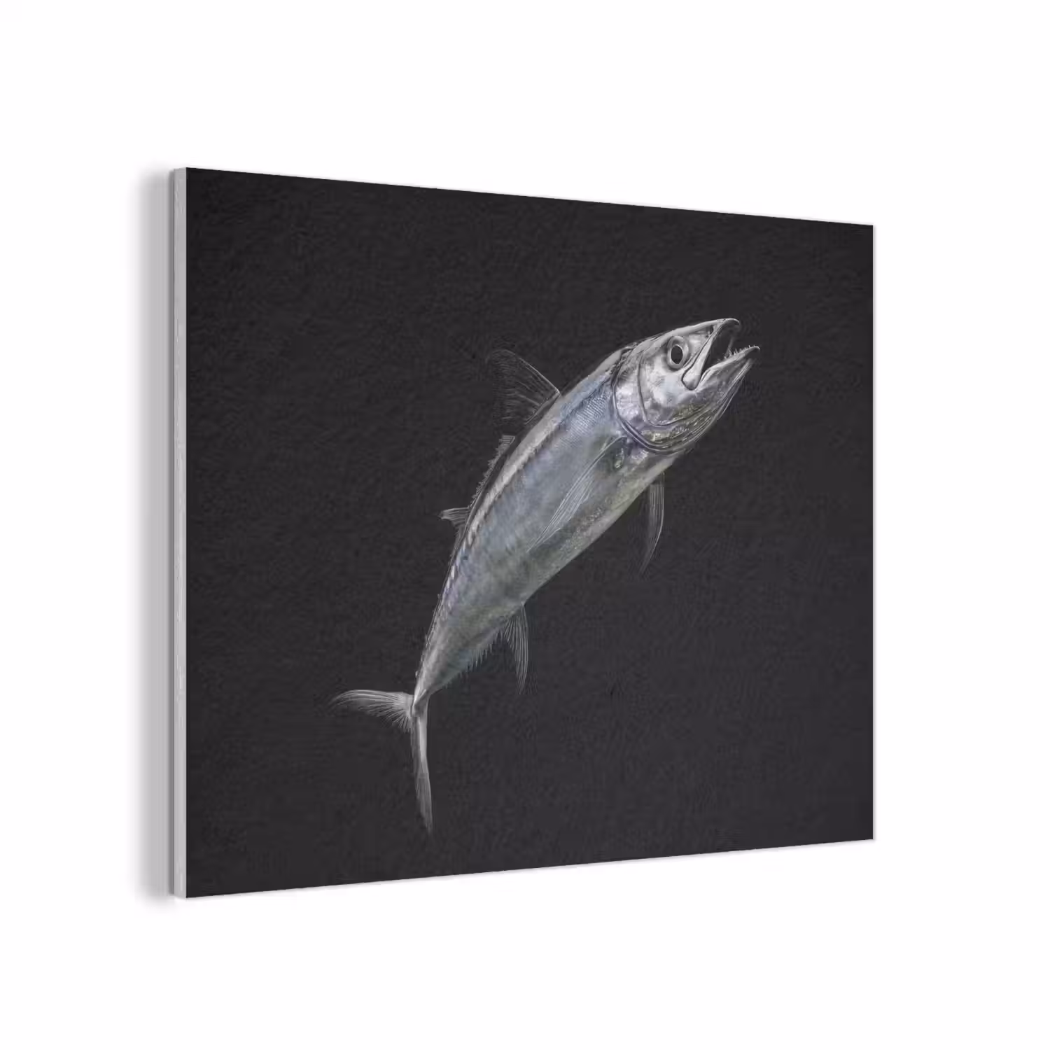 Makreel - Vis - Zwart PET vilt klein -3d