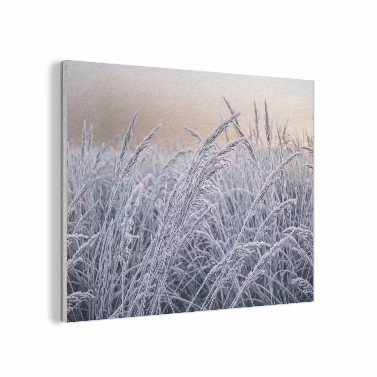 Rijp - Gras - Kristallen - Winter - Minimalistisch PET vilt klein -3d