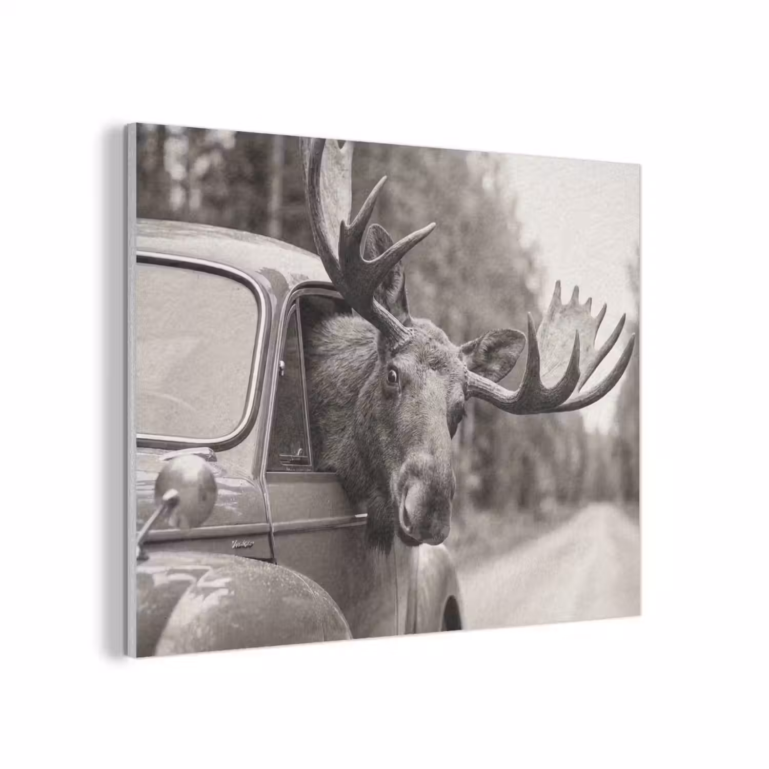 Eland - Auto - Gewei - Zwart - Wit PET vilt klein -3d