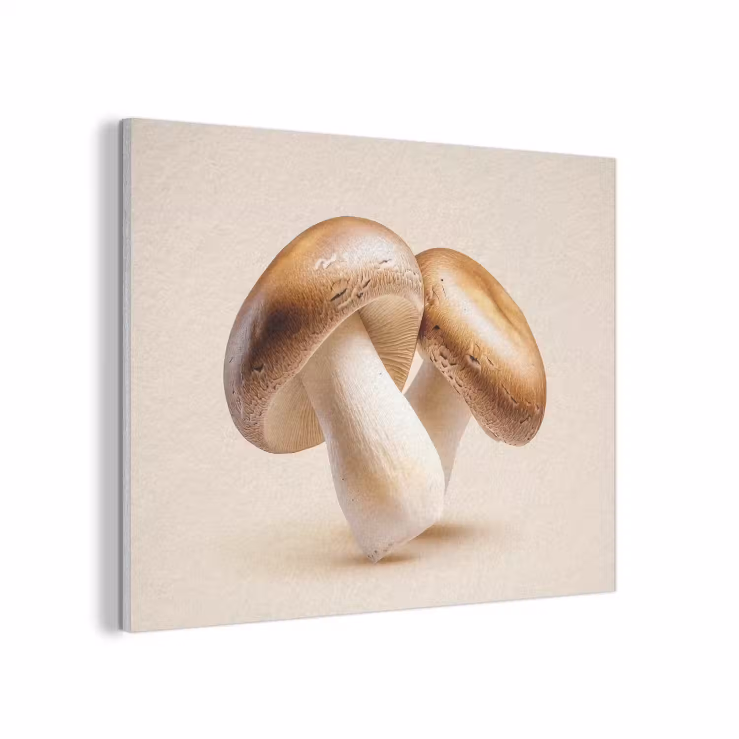 Champignons - Zacht - Beige PET vilt klein -3d