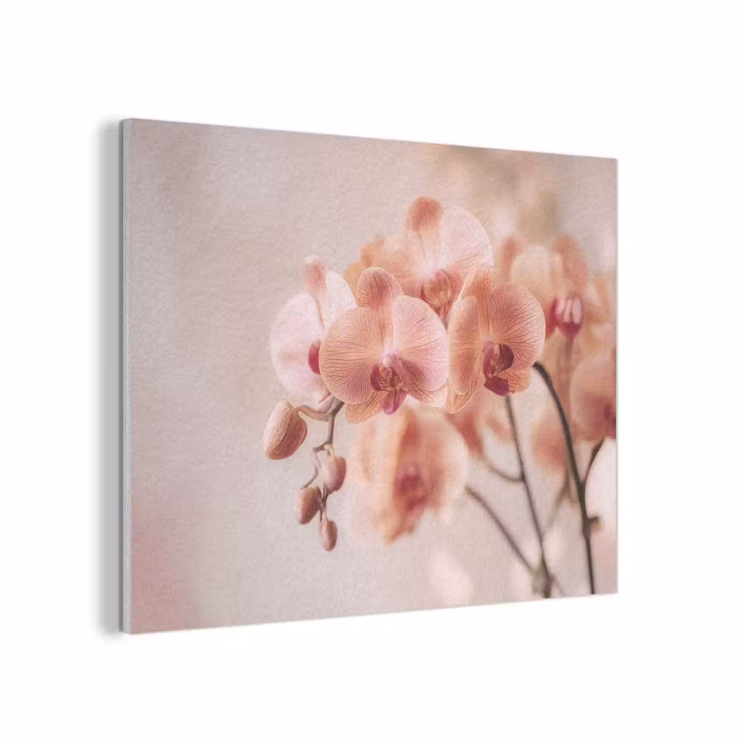 Orchidee - Bloemen - Roze - Bloemblaadjes PET vilt klein -3d