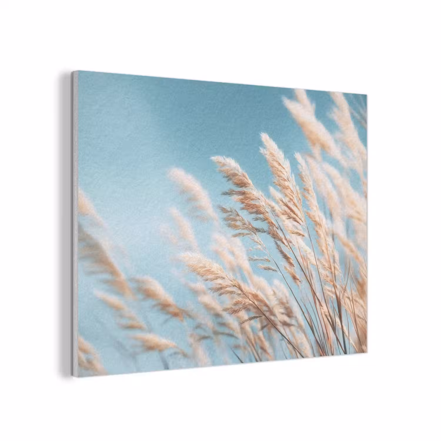 Siergras - Wind - Lichtbruin PET vilt klein -3d