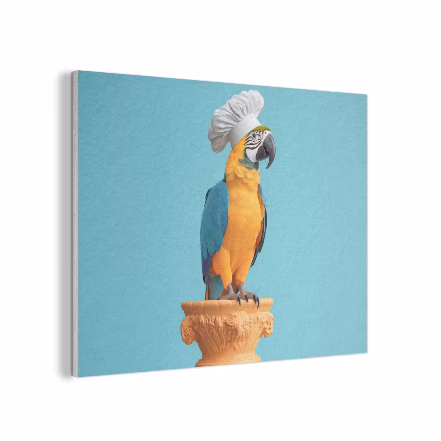 Papegaai - Koksmuts - Grappig - Vogel PET vilt klein -3d