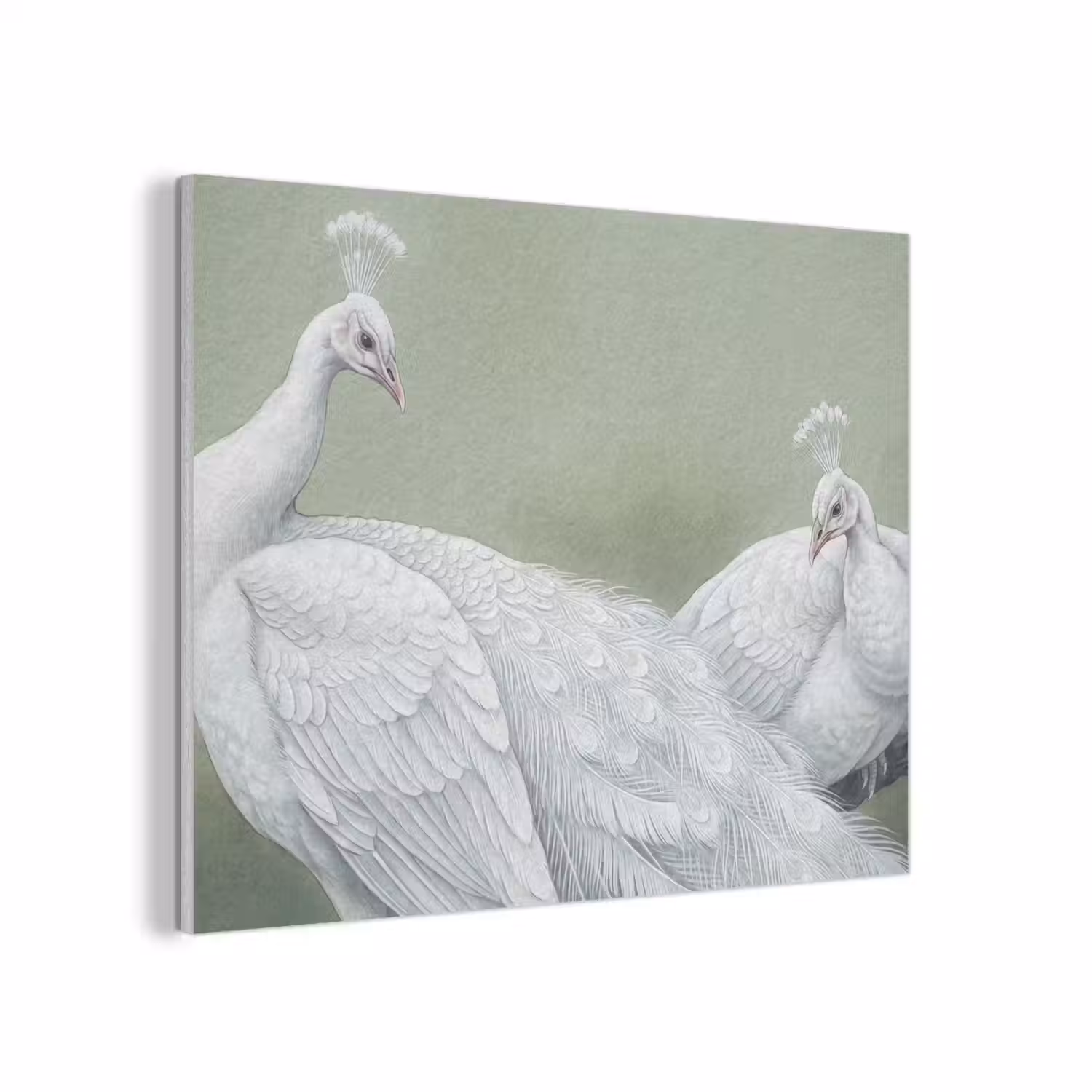 Pauwen - Wit - Natuur - Groen PET vilt klein -3d