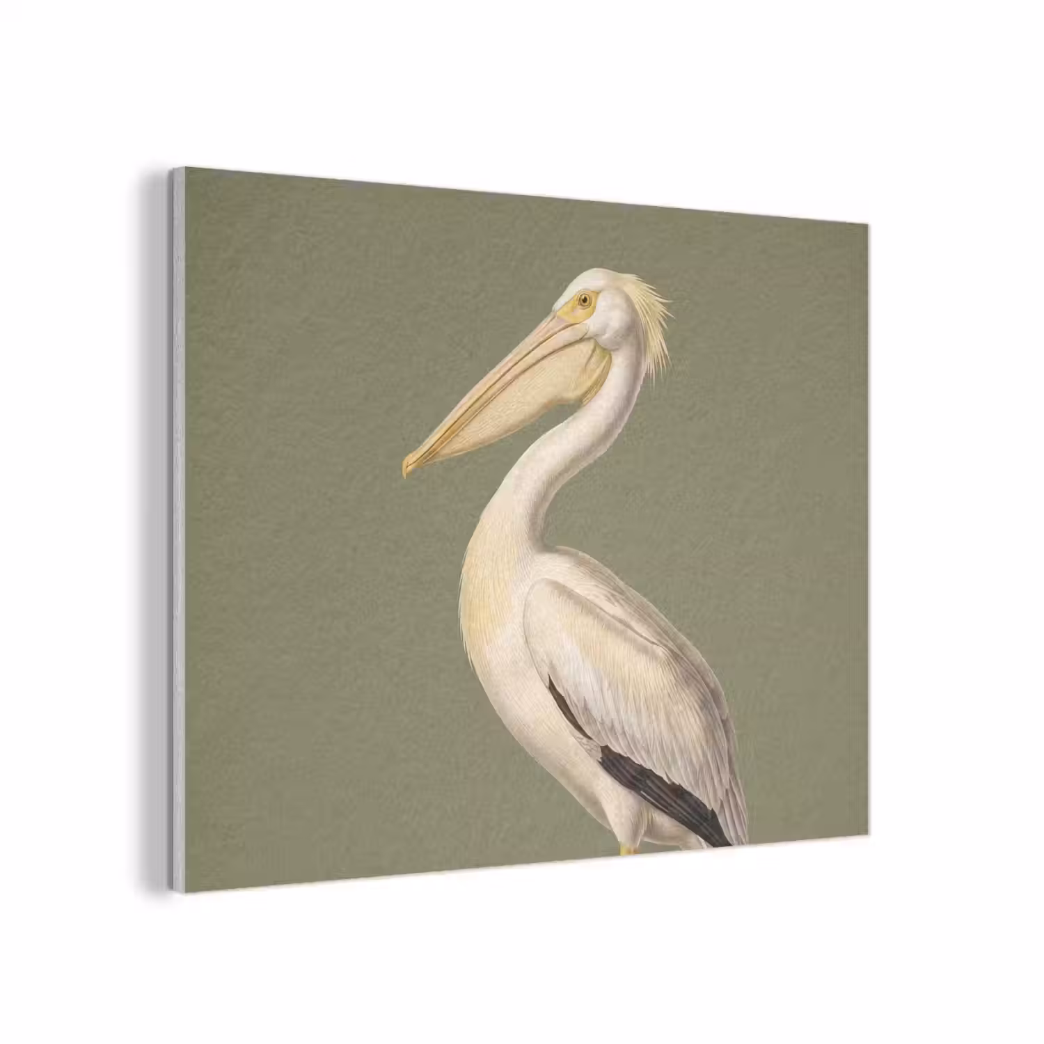 Pelikaan - Wit - Vogel - Klassiek - Natuur PET vilt klein -3d