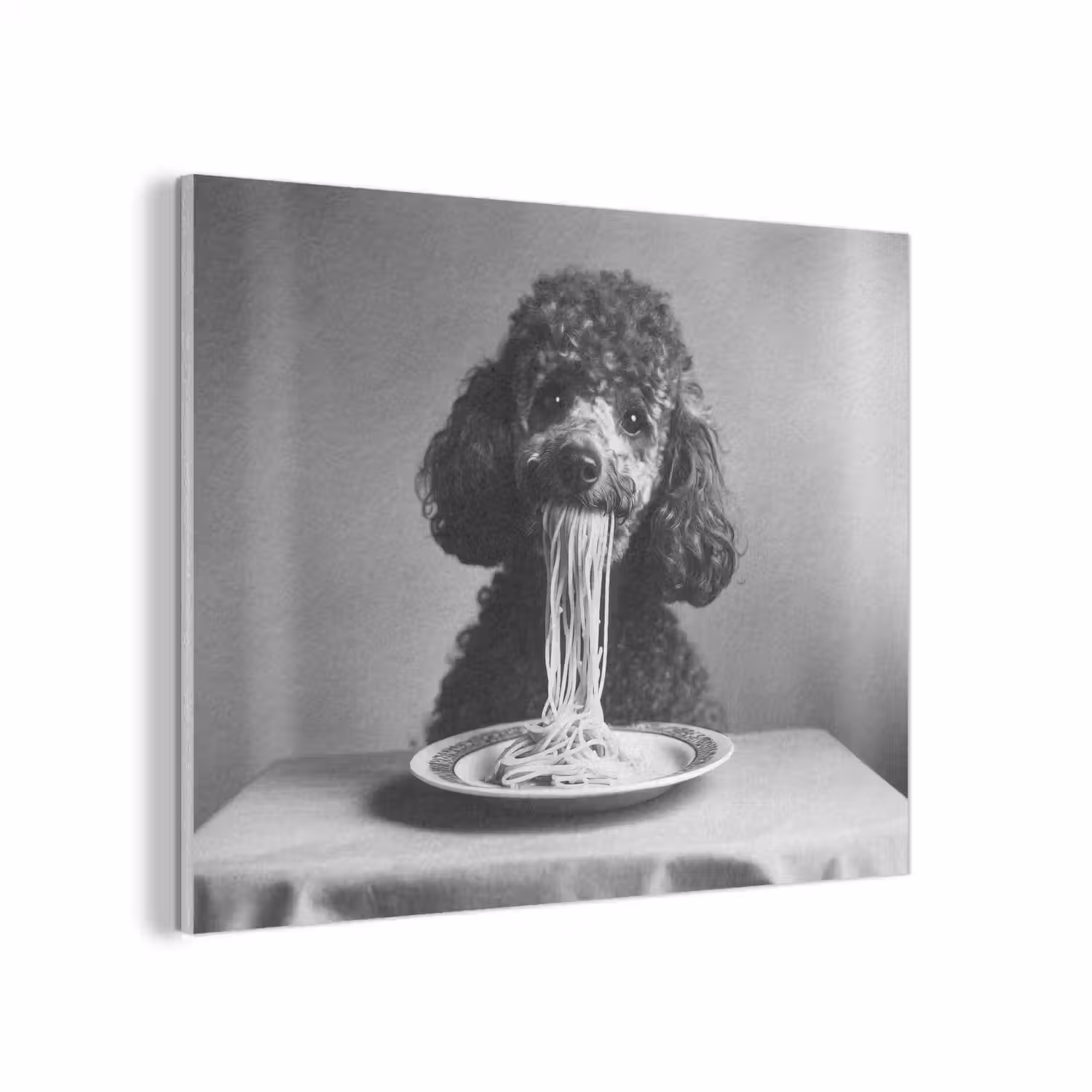 Poedel - Hond - Zwart - Wit - Schattig - Pasta PET vilt klein -3d