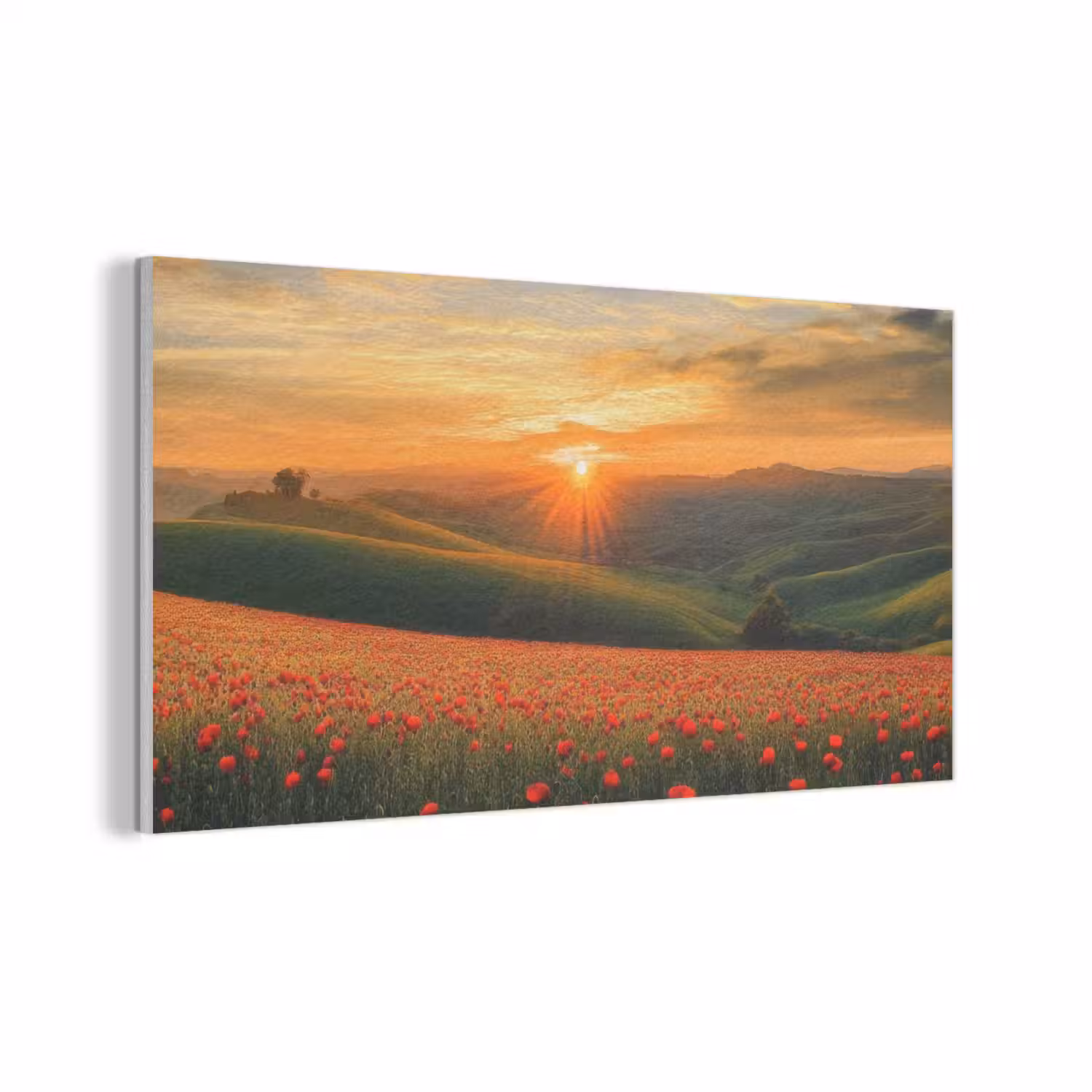 Klaprozen - Bloemen - Heuvels - Zonsondergang PET vilt middel -3d