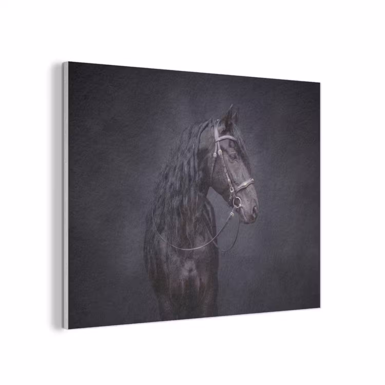 Portret - Paard - Donker PET vilt klein -3d