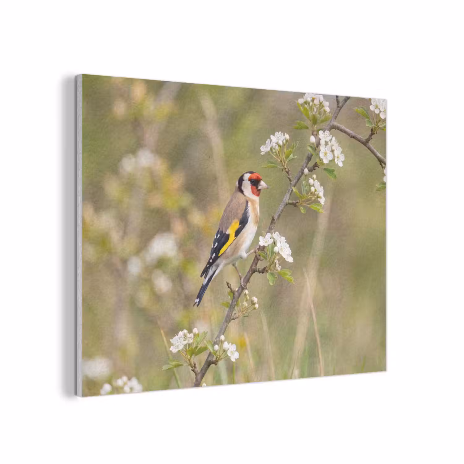 Putter - Bloesem - Lente - Natuur - Kleurrijk PET vilt klein -3d