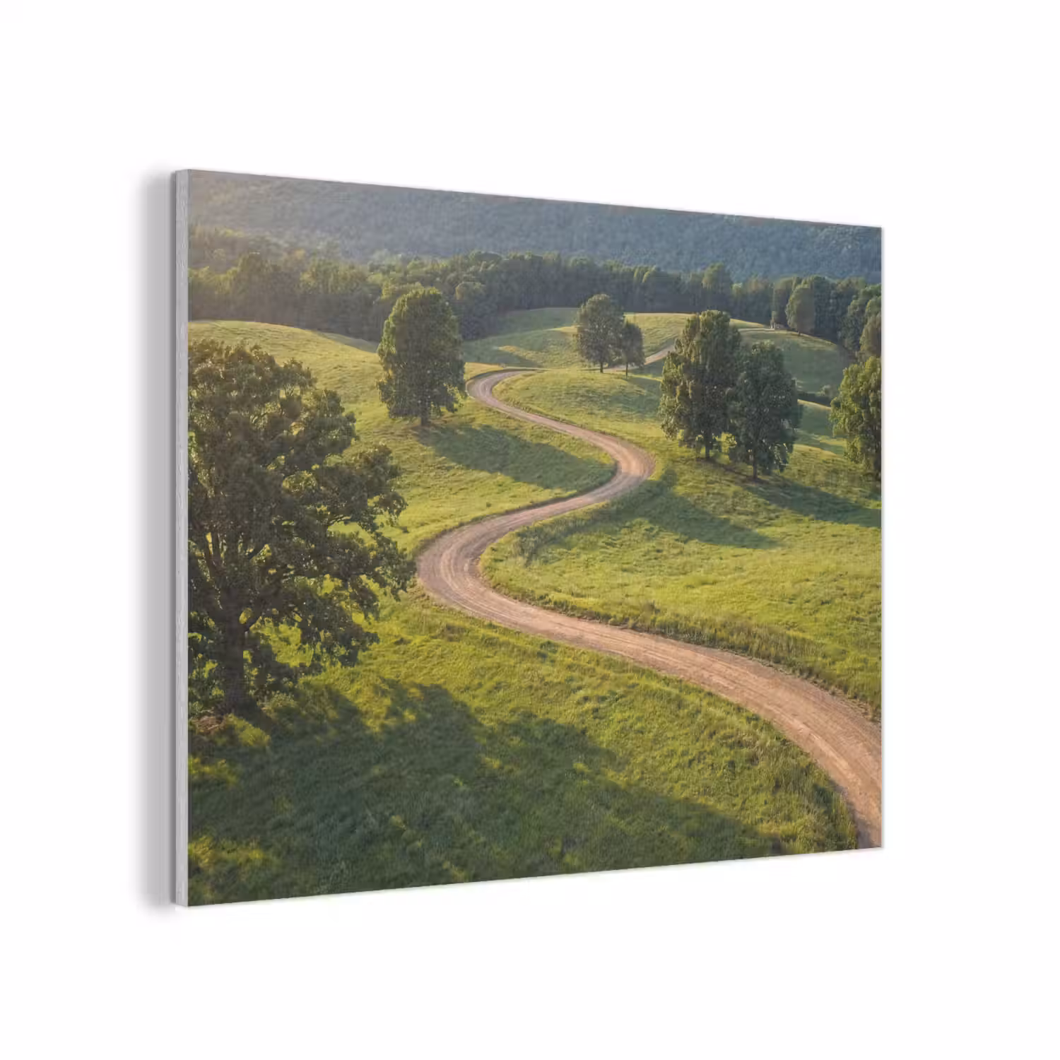 Weg - Weide - Natuur - Groen PET vilt klein -3d