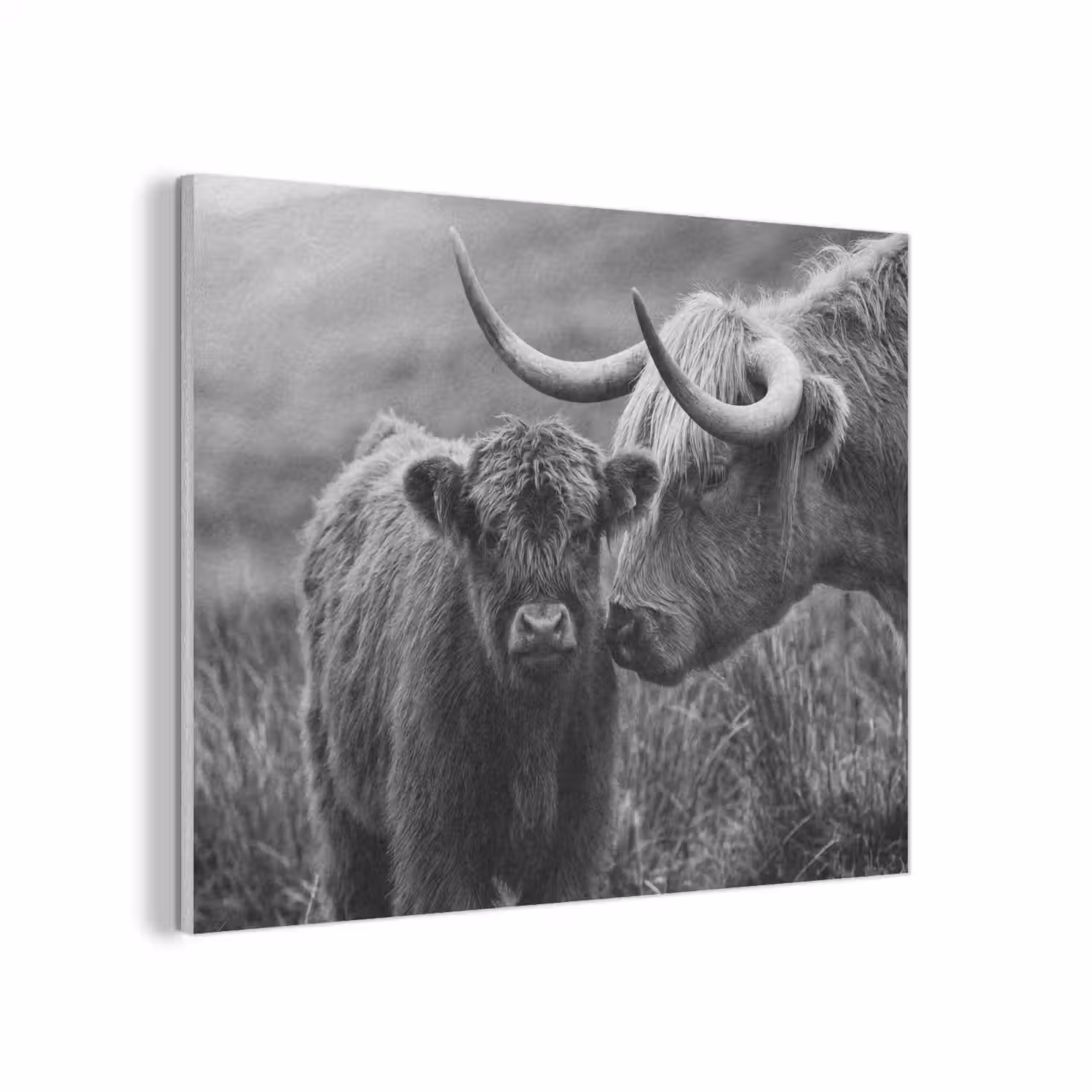 Schotse hooglander - Kalf - Zwart - Wit PET vilt klein -3d