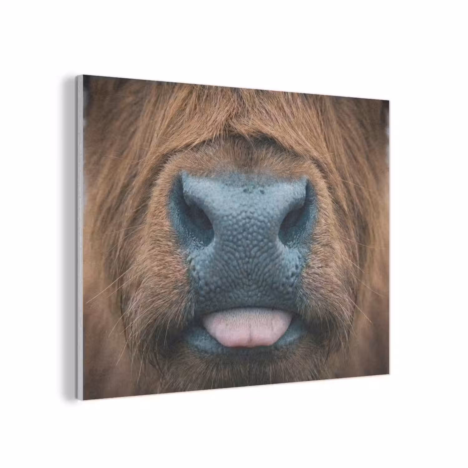Schotse hooglander - Neus - Bruin PET vilt klein -3d