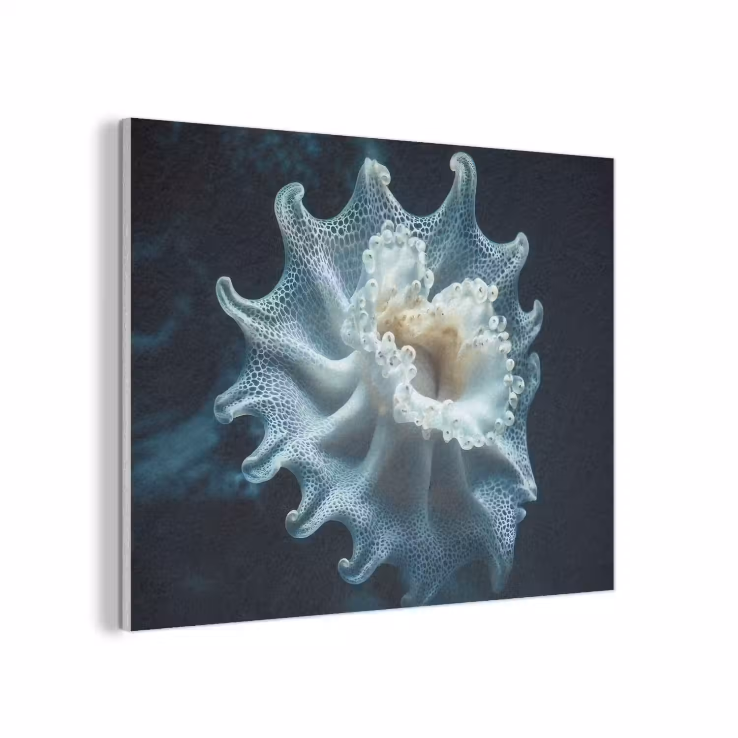 Zeewezen - Wit - Golven - Water PET vilt klein -3d