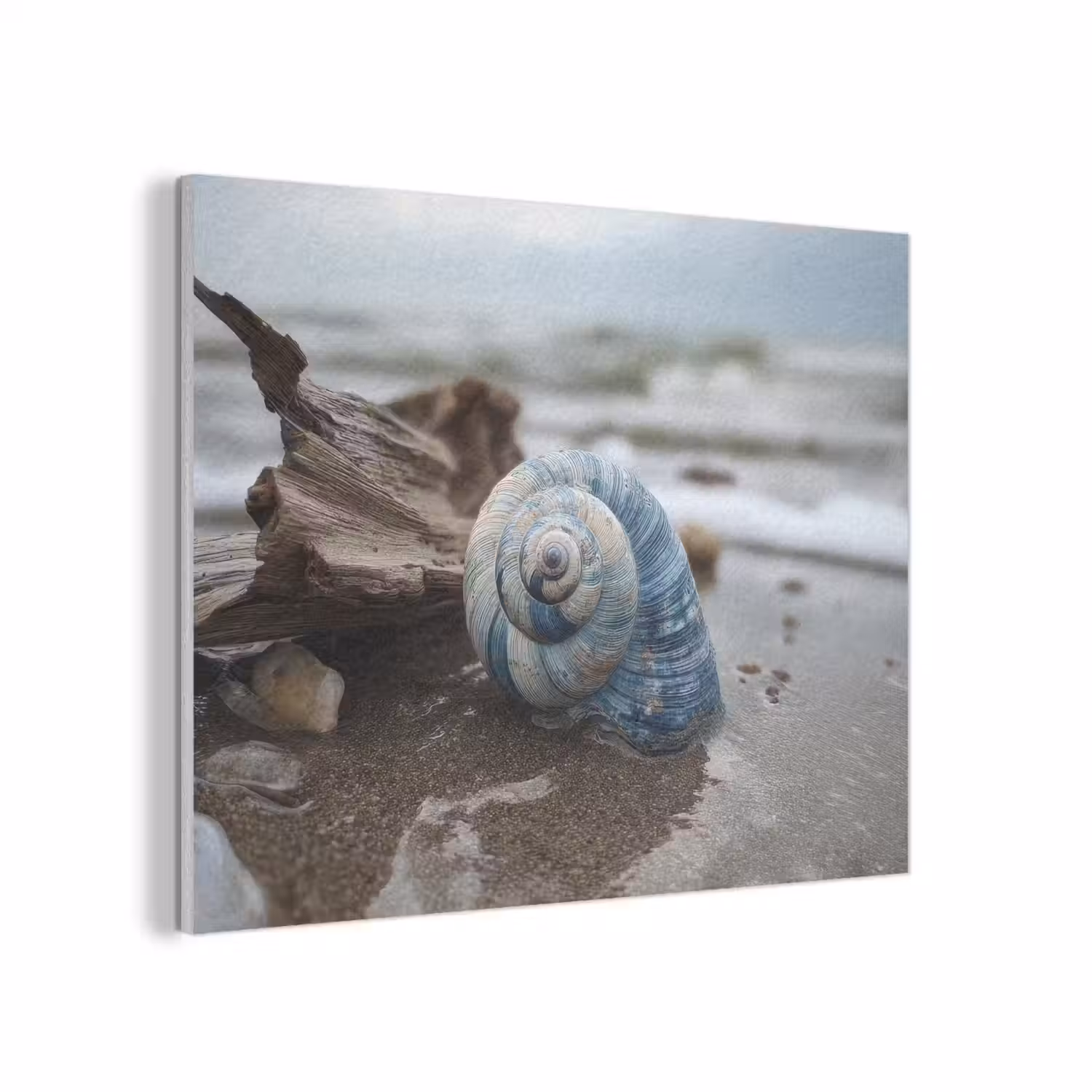 Schelp - Strand - Blauw - Zee PET vilt klein -3d