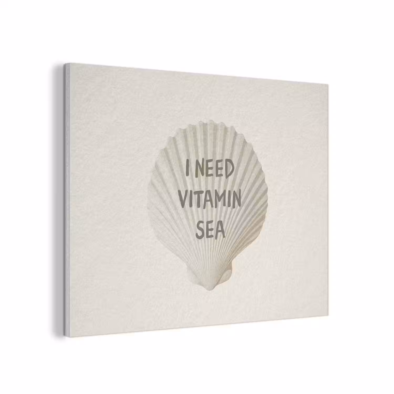 Schelp - Quote - Groen PET vilt klein -3d