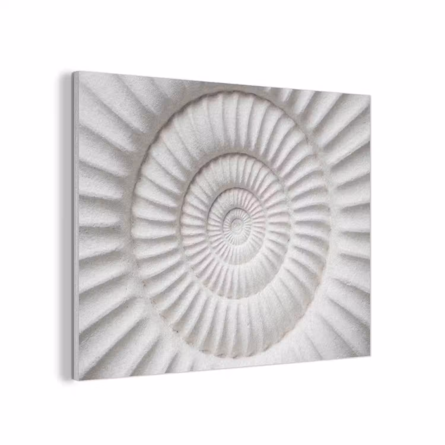 Schelp - Spiraal - Wit PET vilt klein -3d