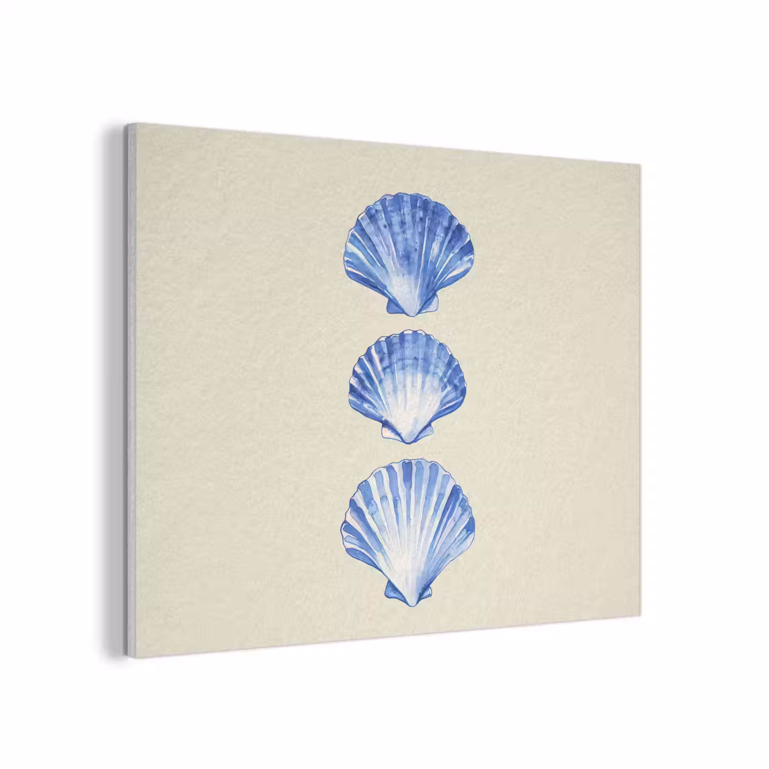 Schelpen - Blauw - Beige PET vilt klein -3d