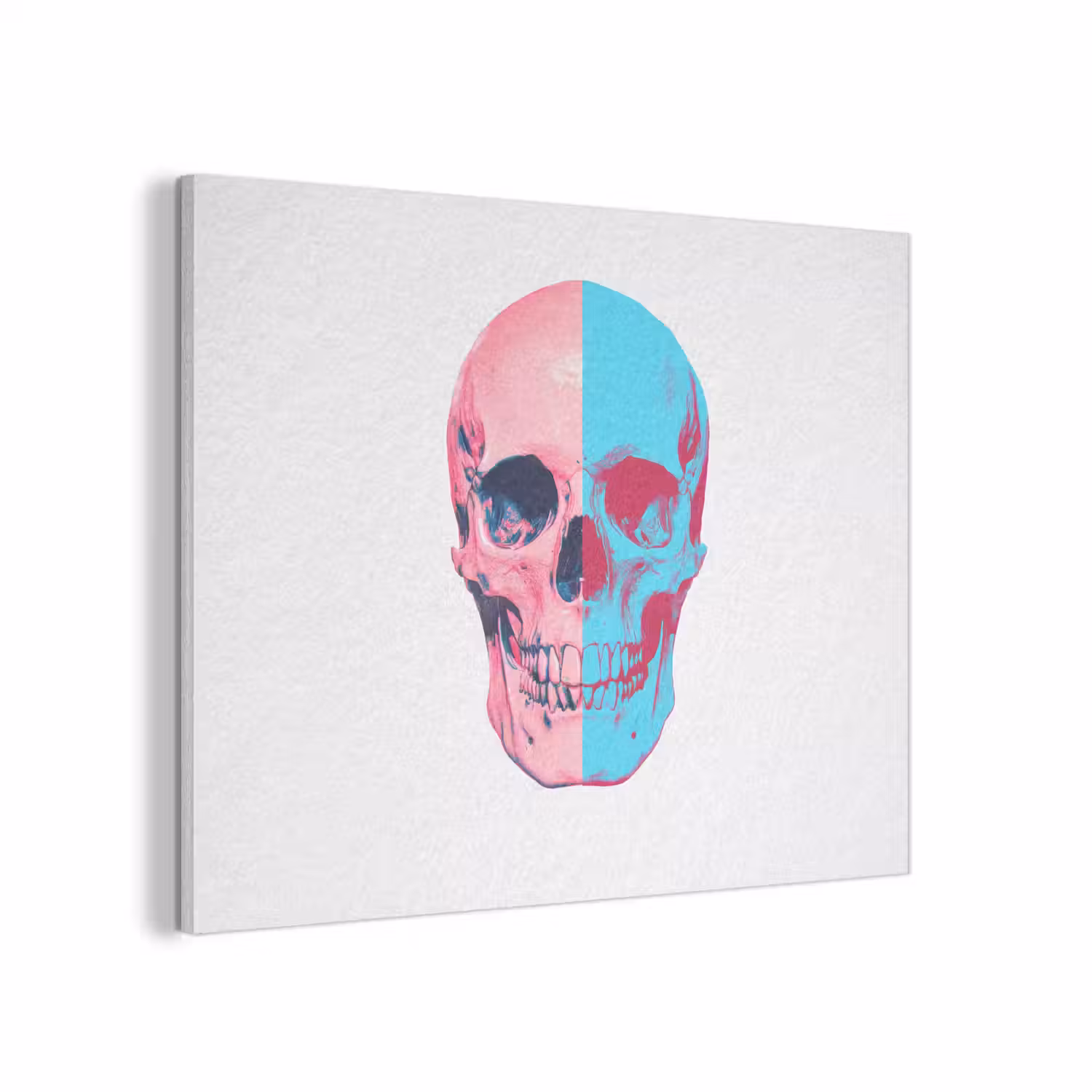 Schedel - Grafisch - Roze - Verdeeld PET vilt klein -3d