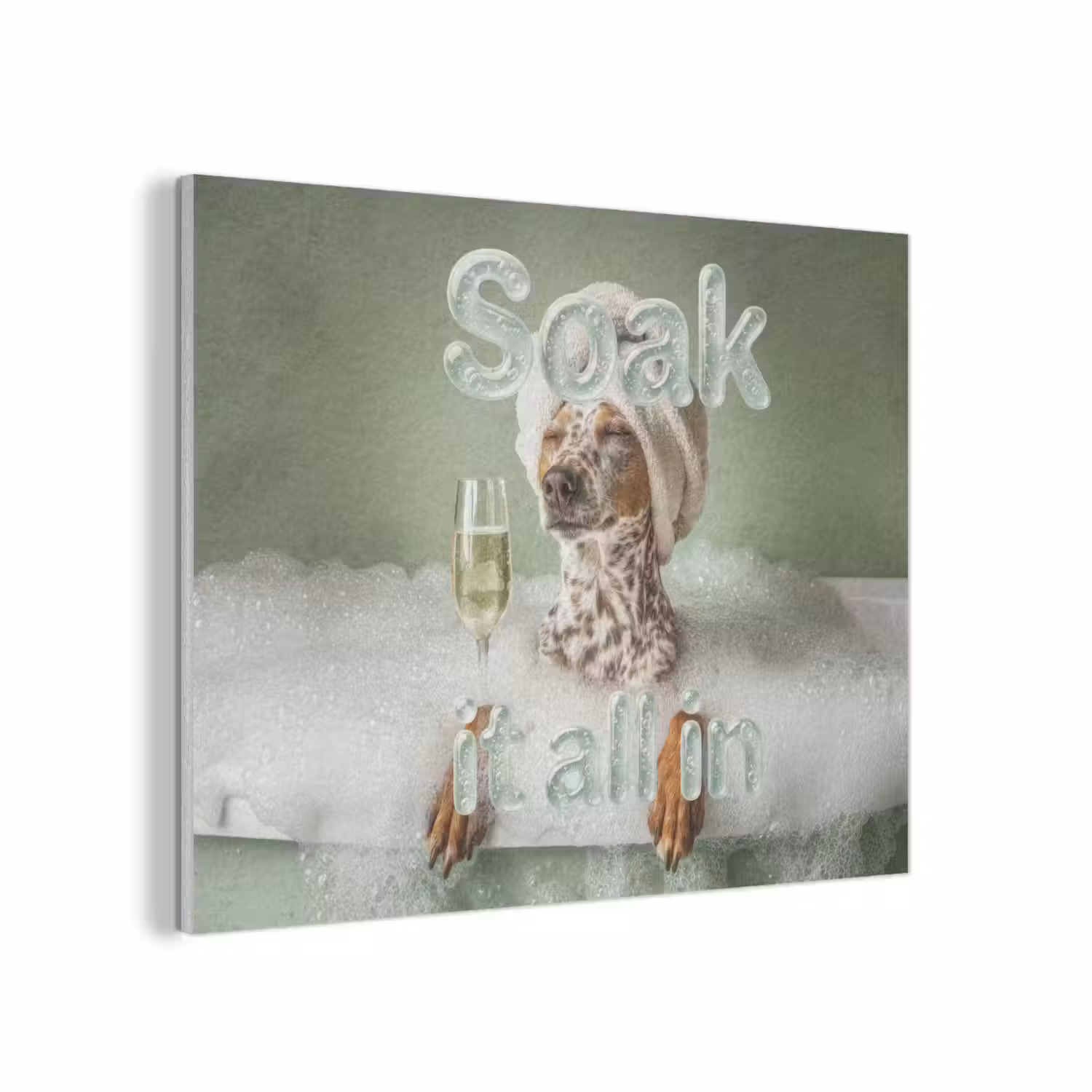 Soak it all in - Hond - Bad PET vilt klein -3d