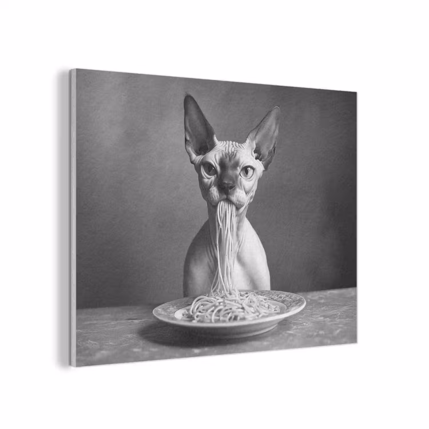 Sphynx - Kat - Dieren - Humor - Spaghetti - Zwart Wit PET vilt klein -3d