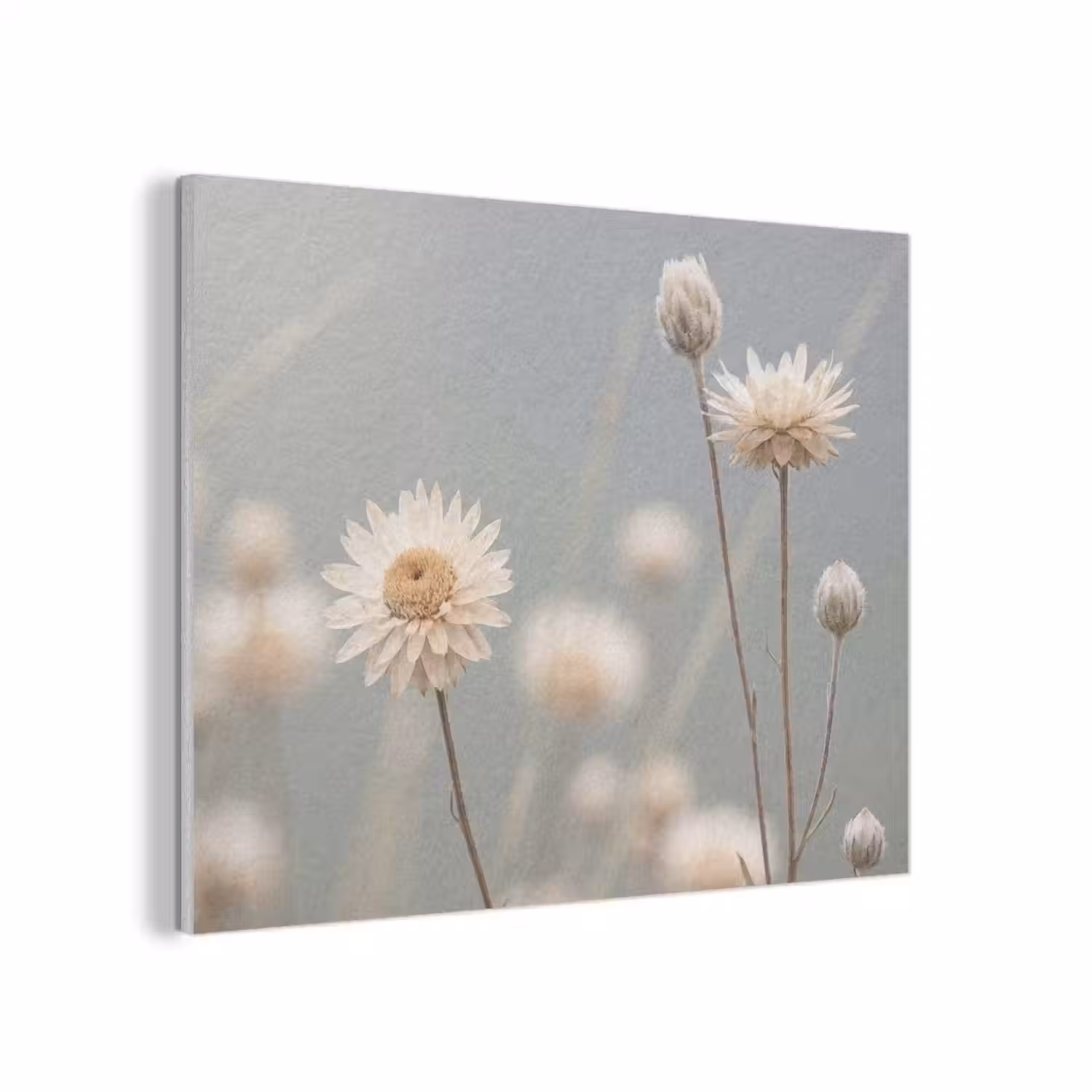 Strobloemen - Wit - Daglicht PET vilt klein -3d
