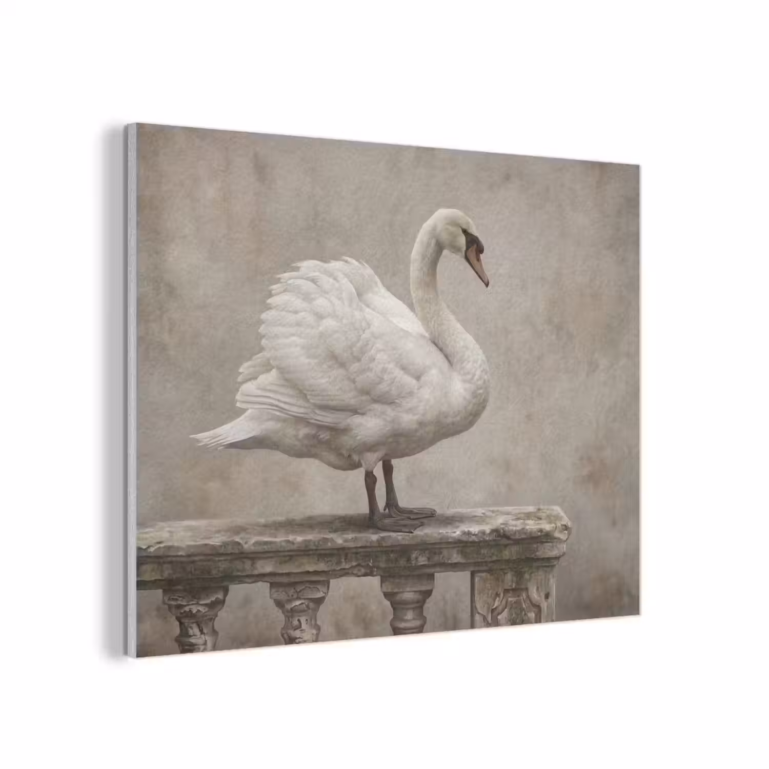 Zwaan - Elegant - Dieren - Wit PET vilt klein -3d