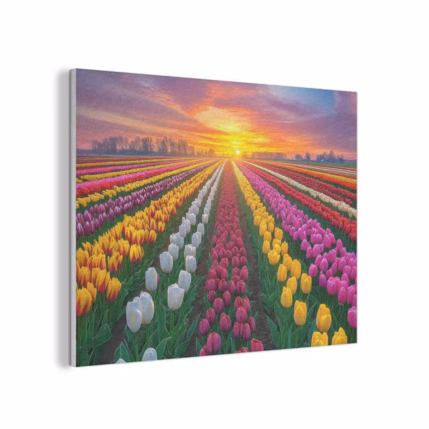 Tulpenveld - Zonsondergang - Kleurrijk PET vilt klein -3d
