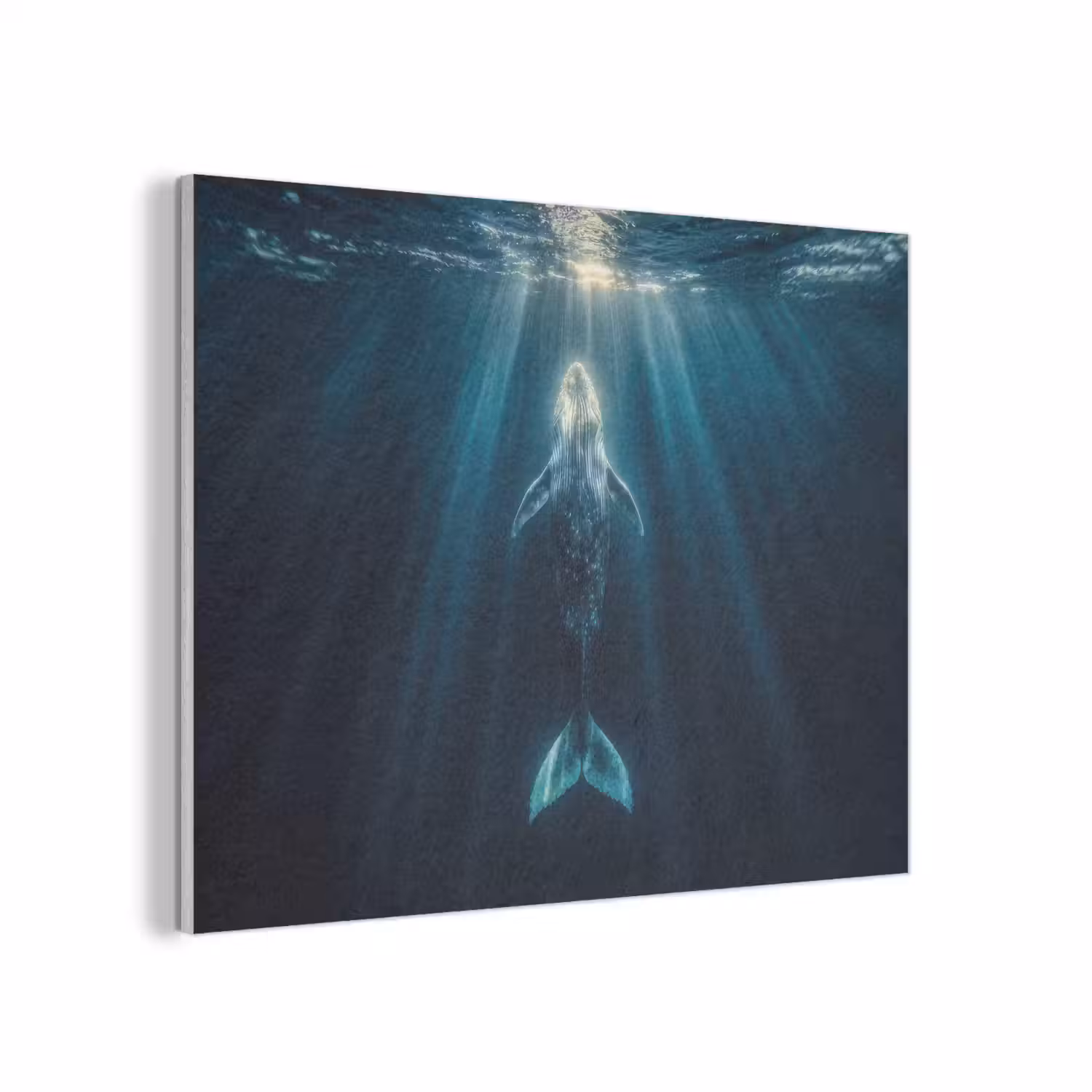 Walvis - Water - Zonnestralen - Blauw PET vilt klein -3d