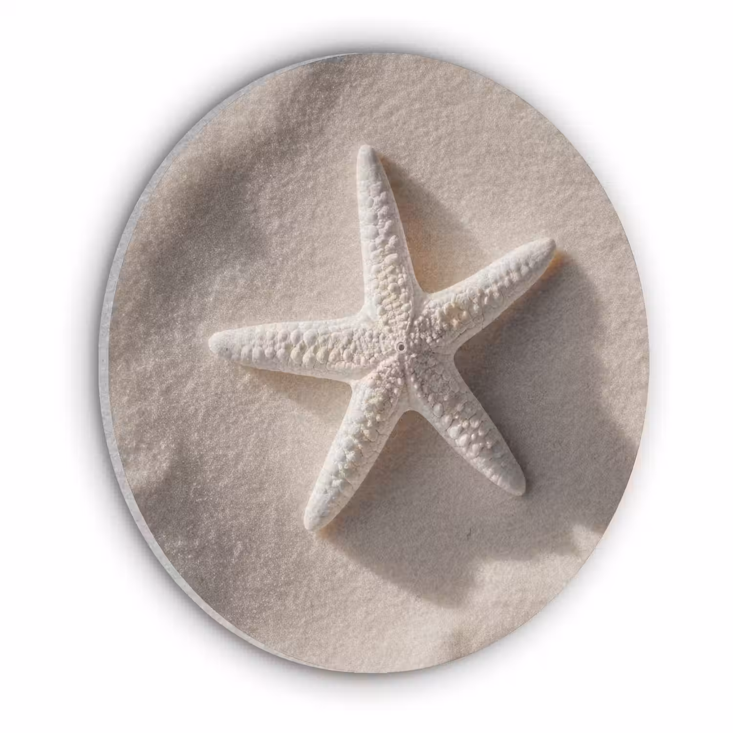 Strand - Zeester - Zand - Beige Akoestische PET Vilt - Rond klein -3d