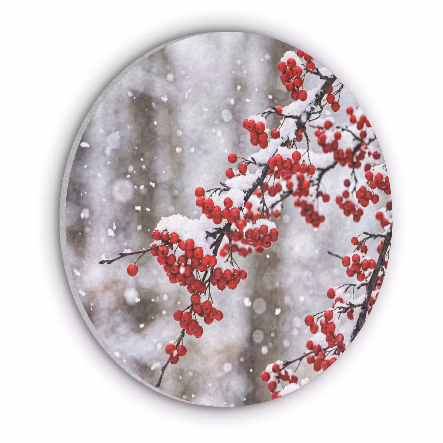 Bessen - Takken - Sneeuw - Winter - Kleurrijk Akoestische PET Vilt - Rond klein -3d