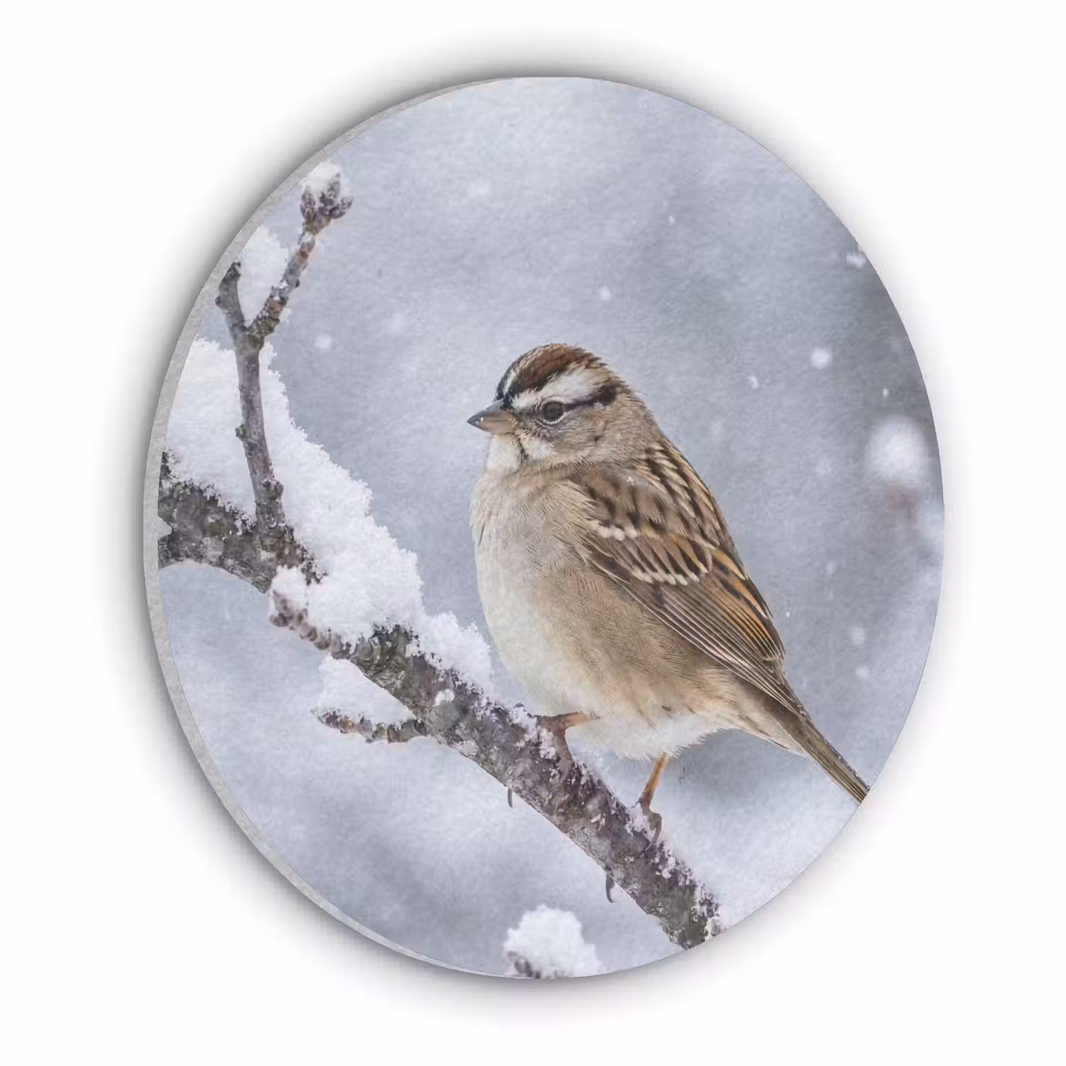 Vogel - Tak - Sneeuw - Winter Akoestische PET Vilt - Rond klein -3d