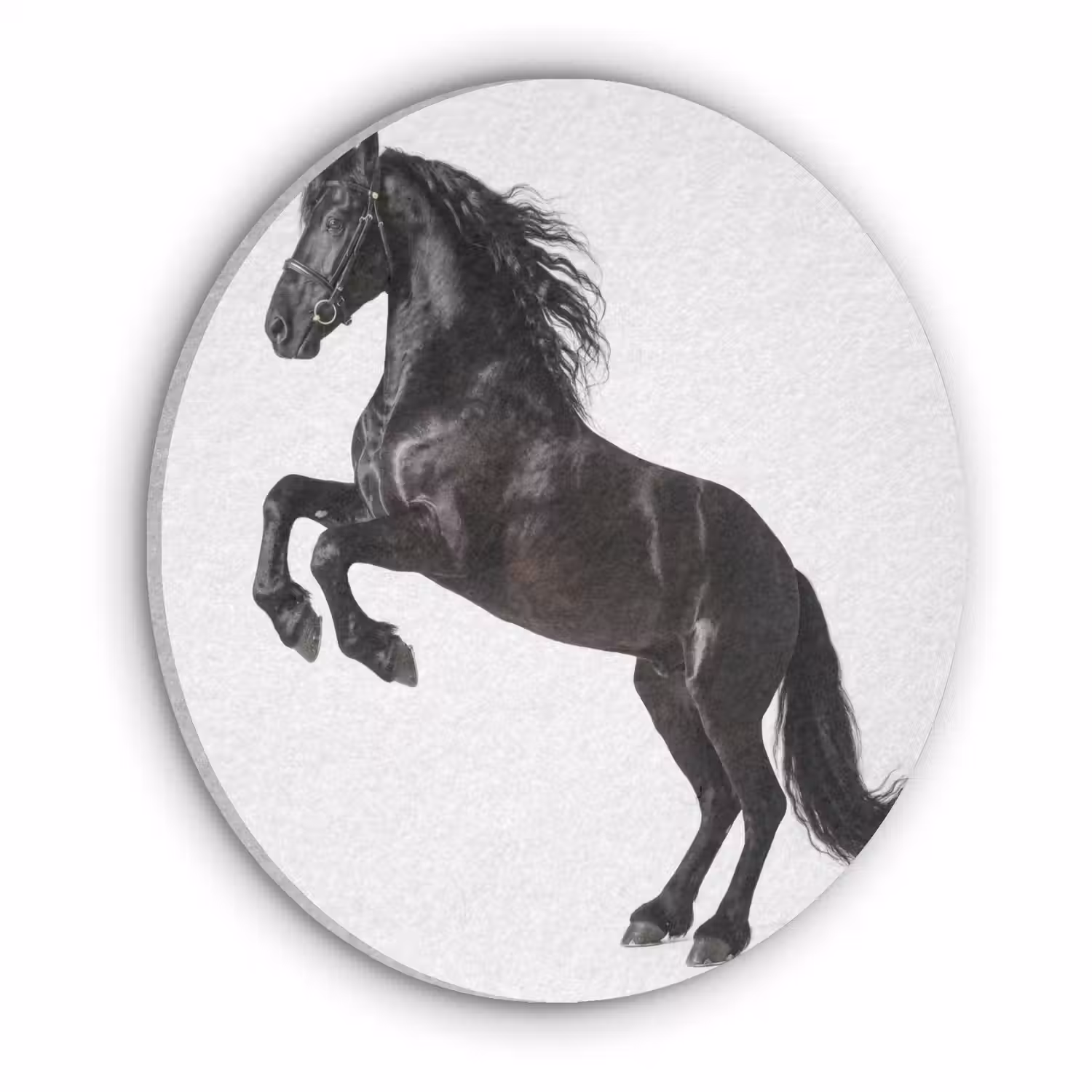 Zwart - Paard - Portret Akoestische PET Vilt - Rond klein -3d