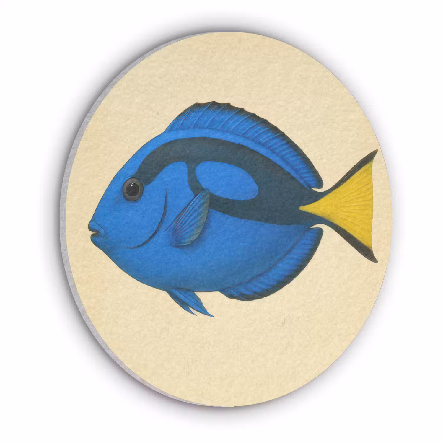 Blauw - Dory - Vis - Staartvin Akoestische PET Vilt - Rond klein -3d