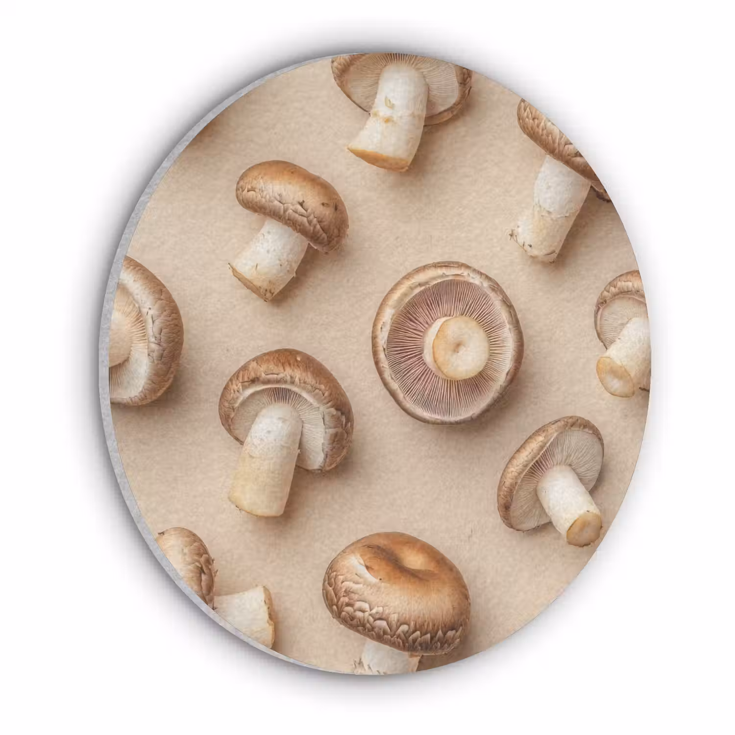 Kastanje Champignons - Beige Akoestische PET Vilt - Rond klein -3d