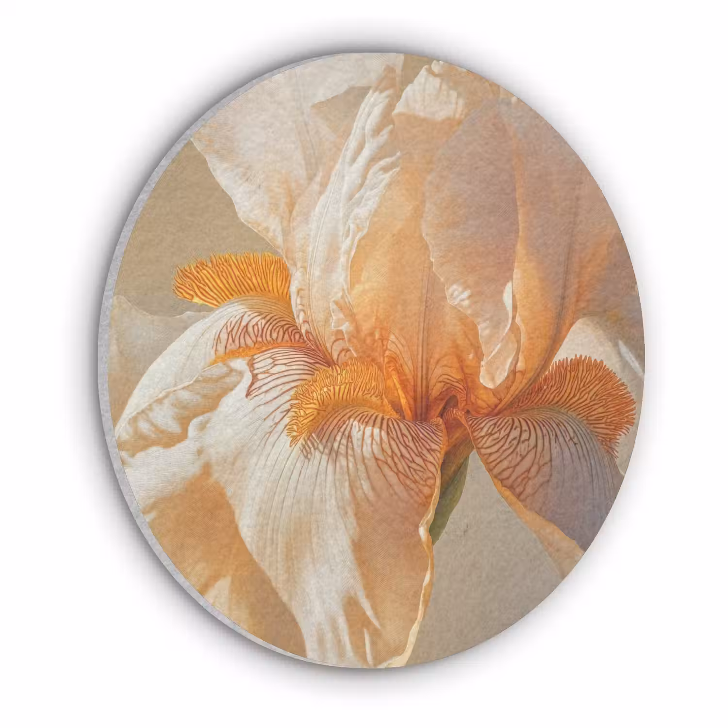 Close up - Oranje - Iris Akoestische PET Vilt - Rond klein -3d