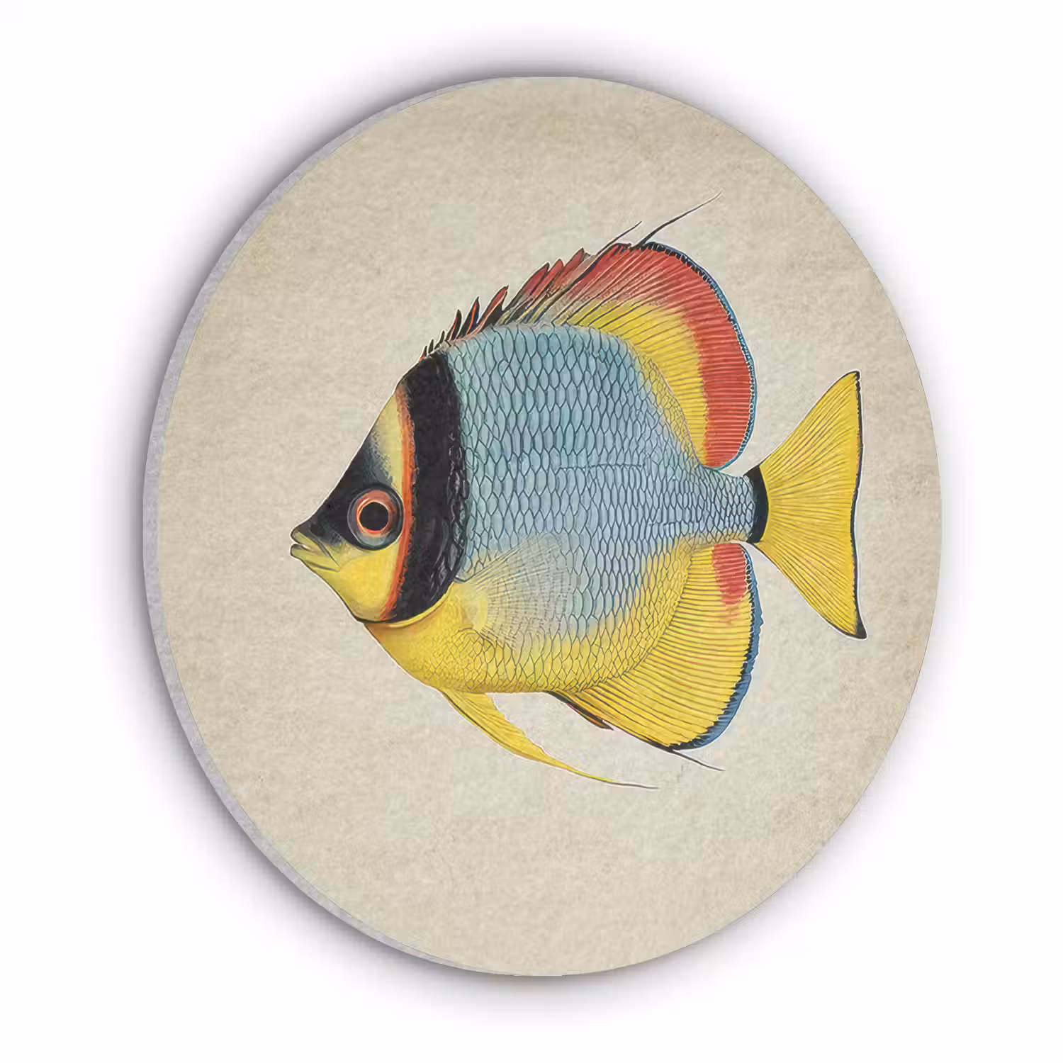 Kleurrijk - Vis - Schubben - Illustratie Akoestische PET Vilt - Rond klein -3d